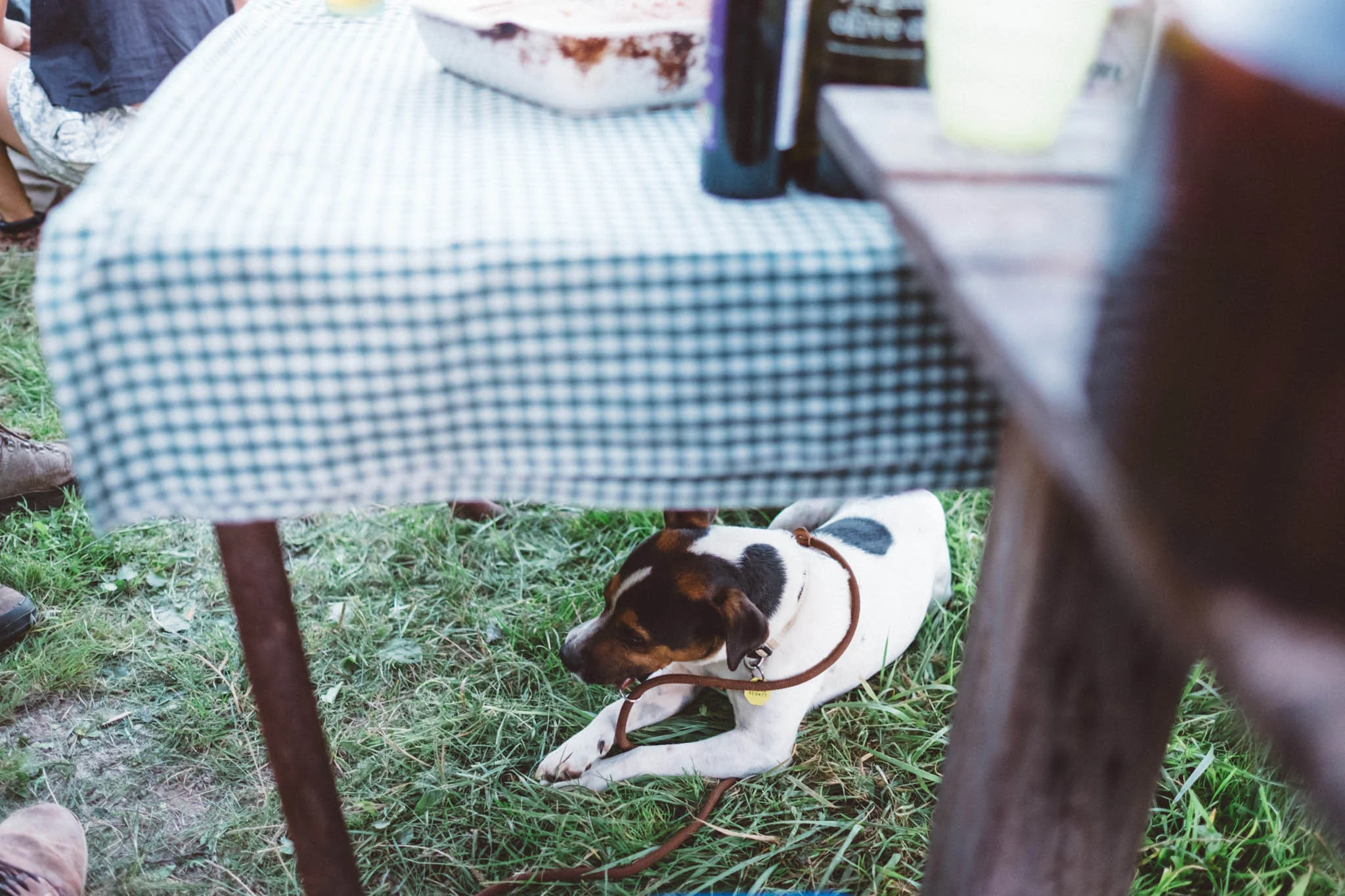 Cook the Books is a foodie event in Lewes. Photography by Sussex food photographer Emma Gutteridge