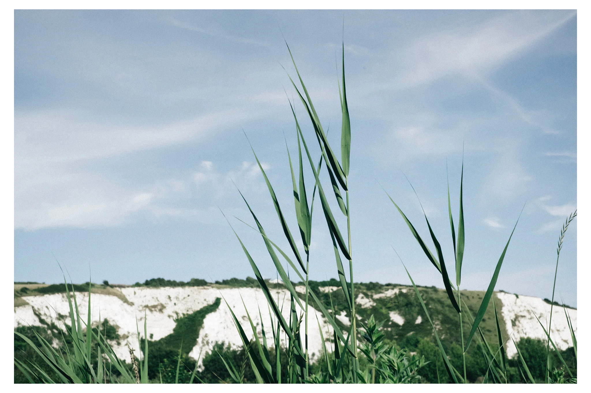 Lewes to Southease is an easy to moderate walk along the River Ouse in East Sussex. Retreat is a Sussex based blog focused on natural living. 