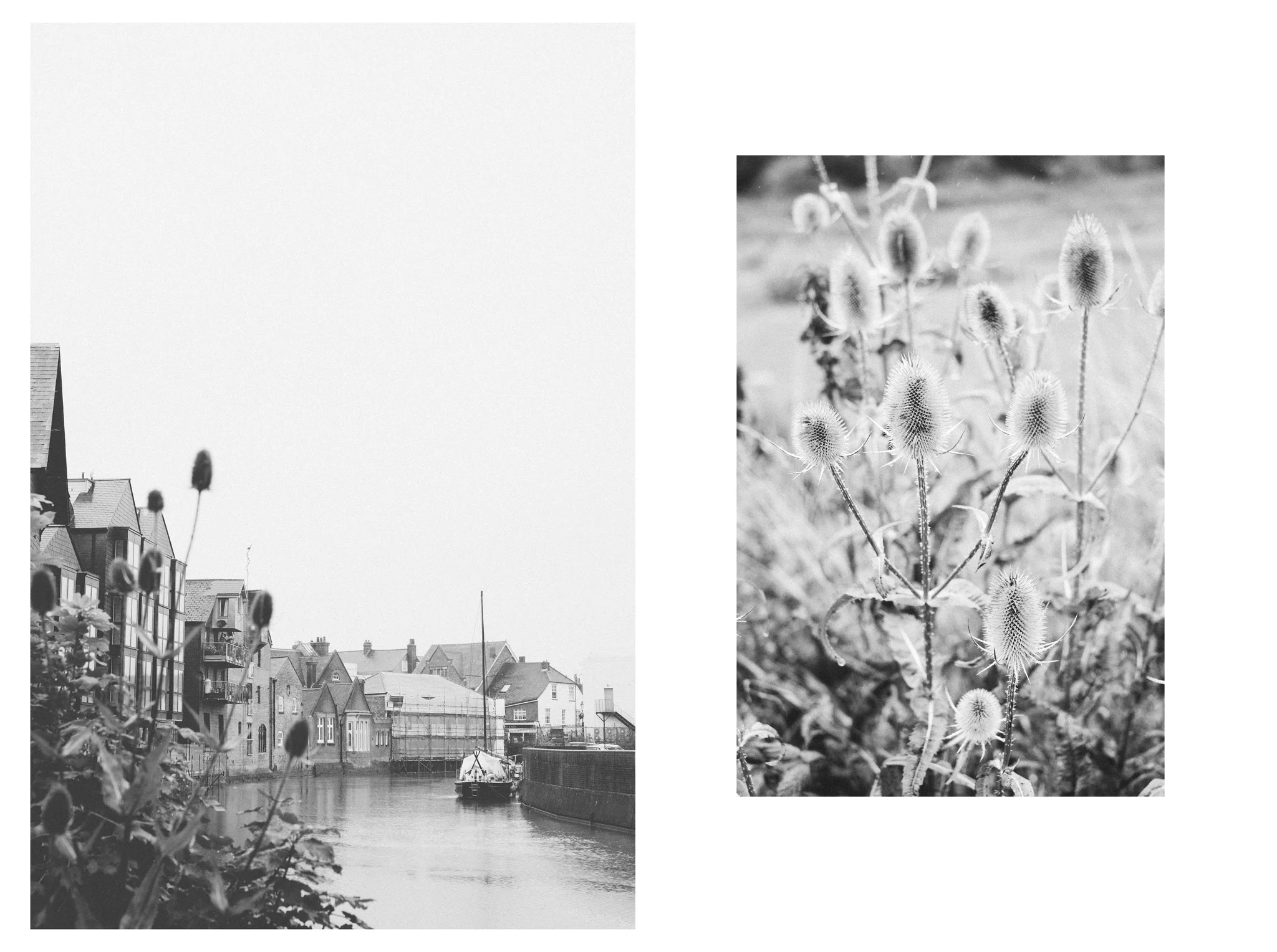 Lewes to Southease is an easy to moderate walk along the River Ouse in East Sussex. Retreat is a Sussex based blog focused on natural living. 