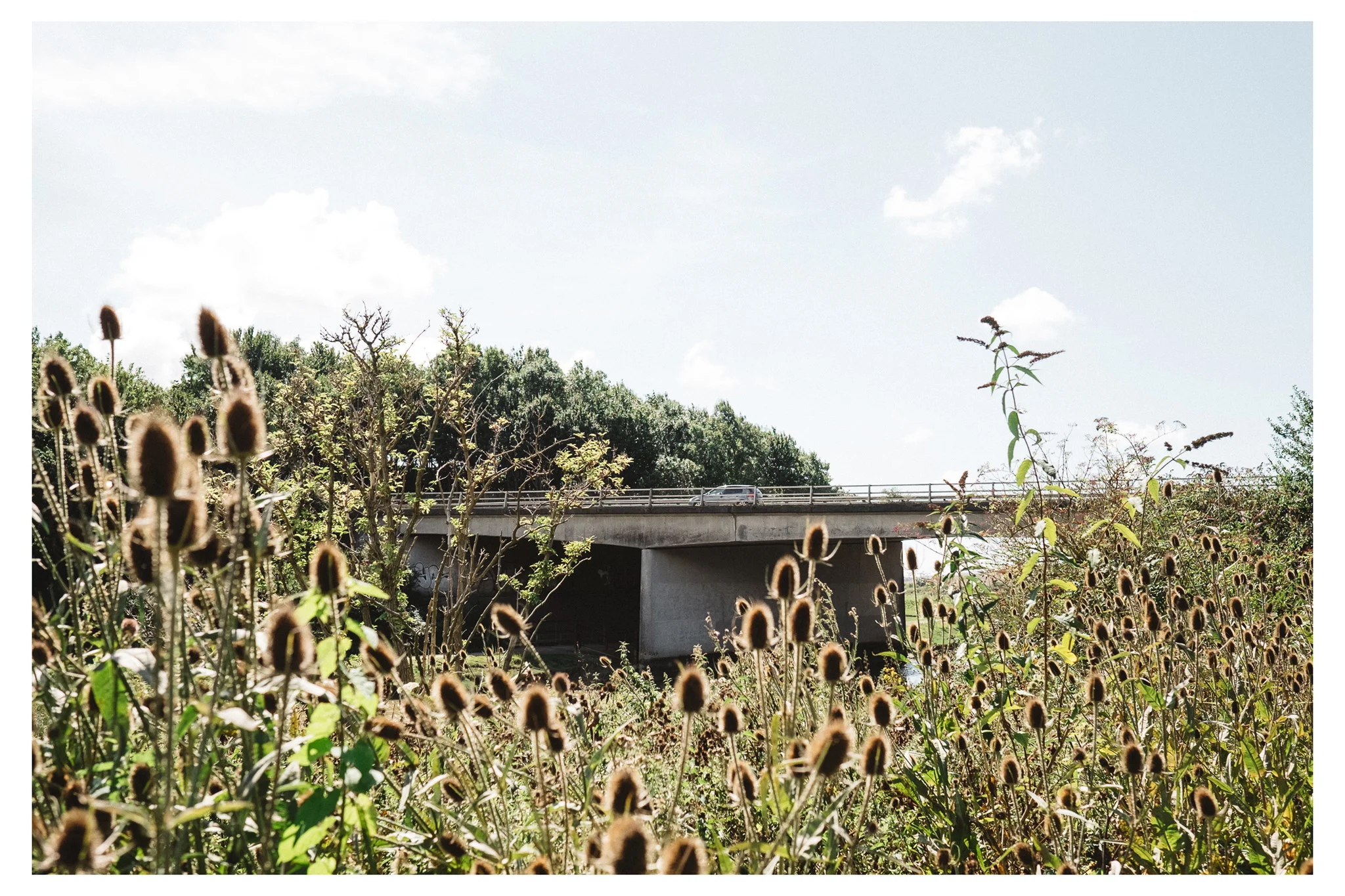 Lewes to Southease is an easy to moderate walk along the River Ouse in East Sussex. Retreat is a Sussex based blog focused on natural living. 