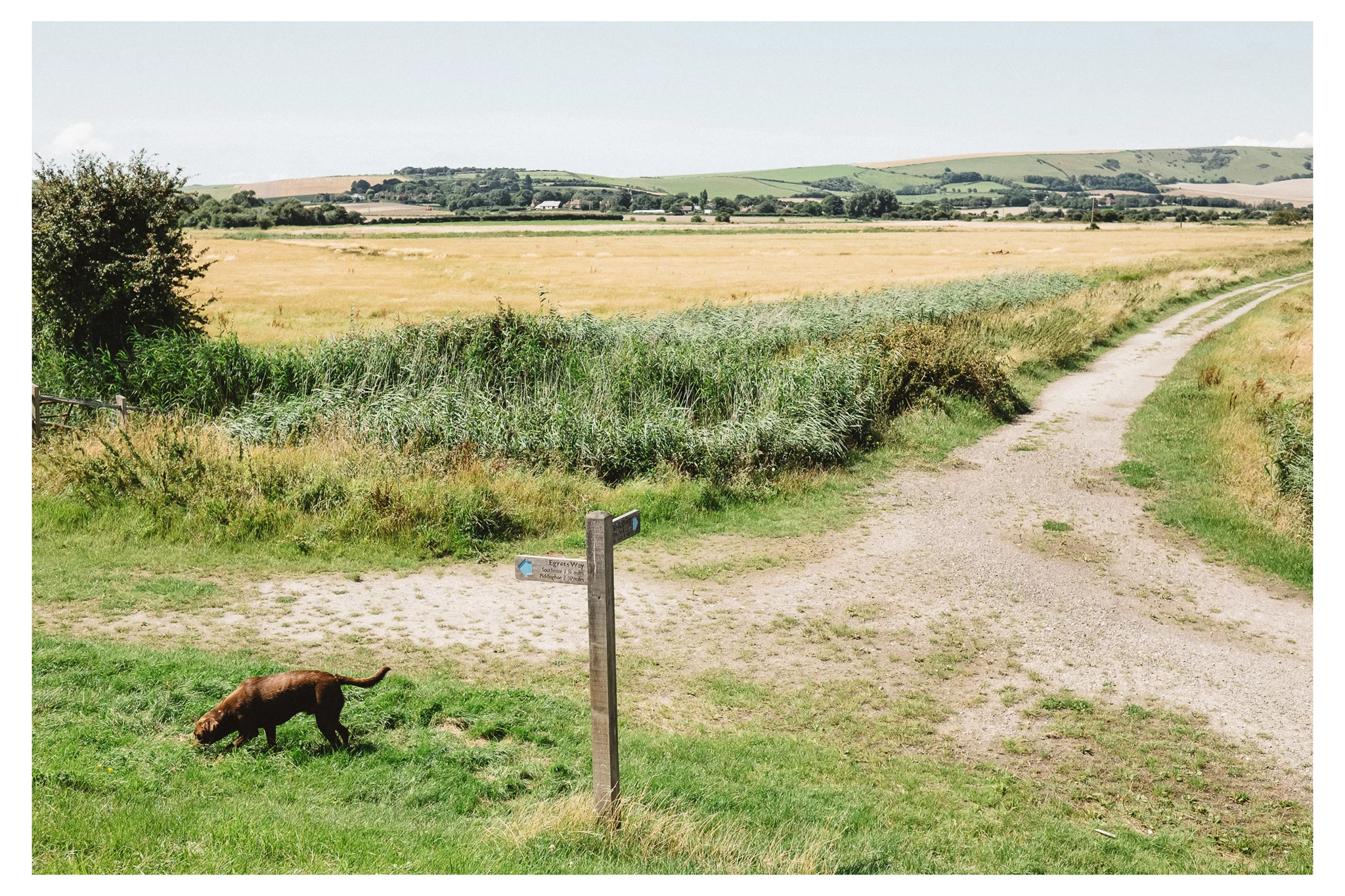 Lewes to Southease is an easy to moderate walk along the River Ouse in East Sussex. Retreat is a Sussex based blog focused on natural living. 