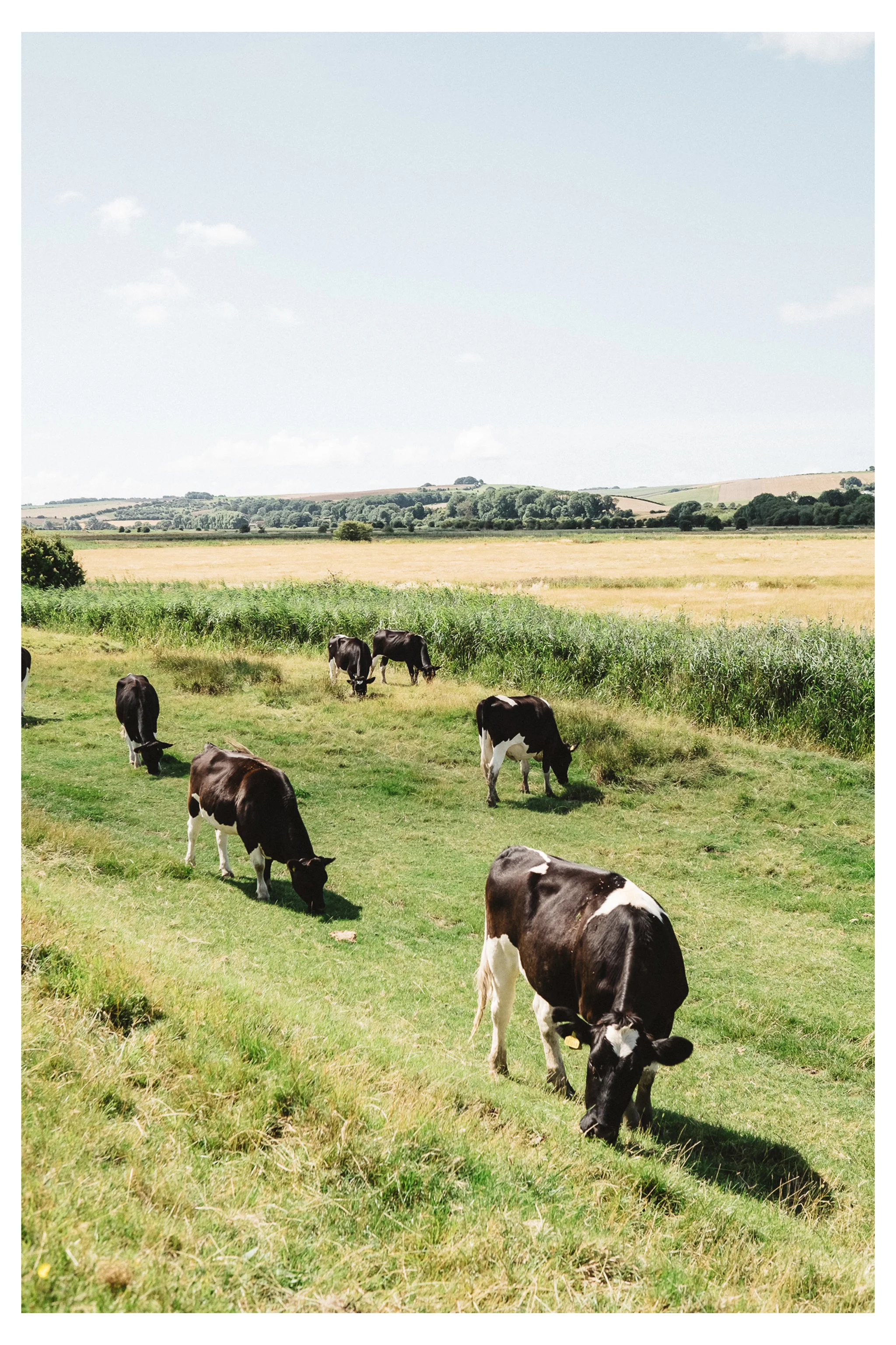 Lewes to Southease is an easy to moderate walk along the River Ouse in East Sussex. Retreat is a Sussex based blog focused on natural living. 