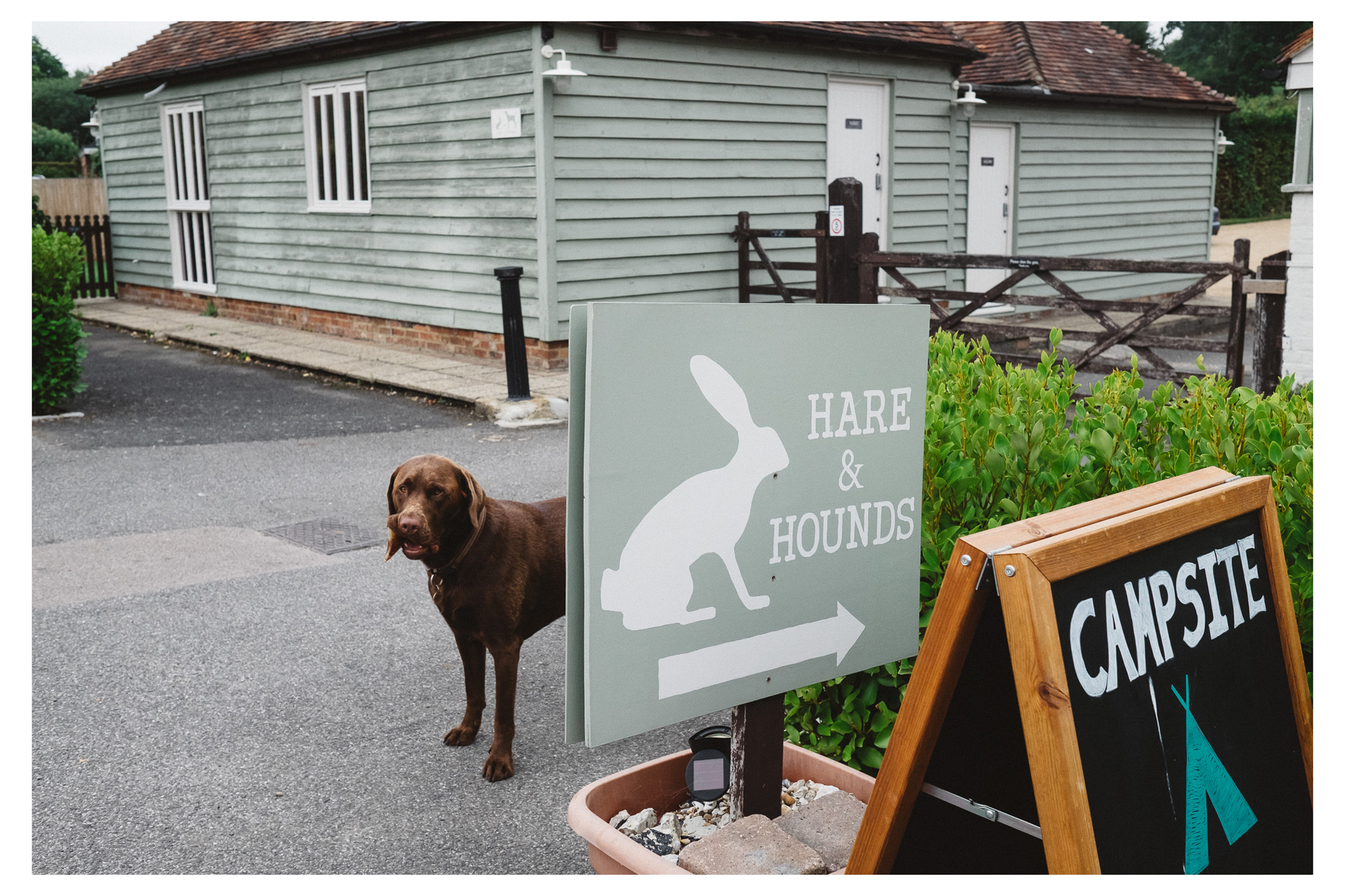 Hares and Hounds is a modest but practical campsite in Rye, Sussex. The area has a lot to offer and the campsite has everything you need for a gorgeous experience. 