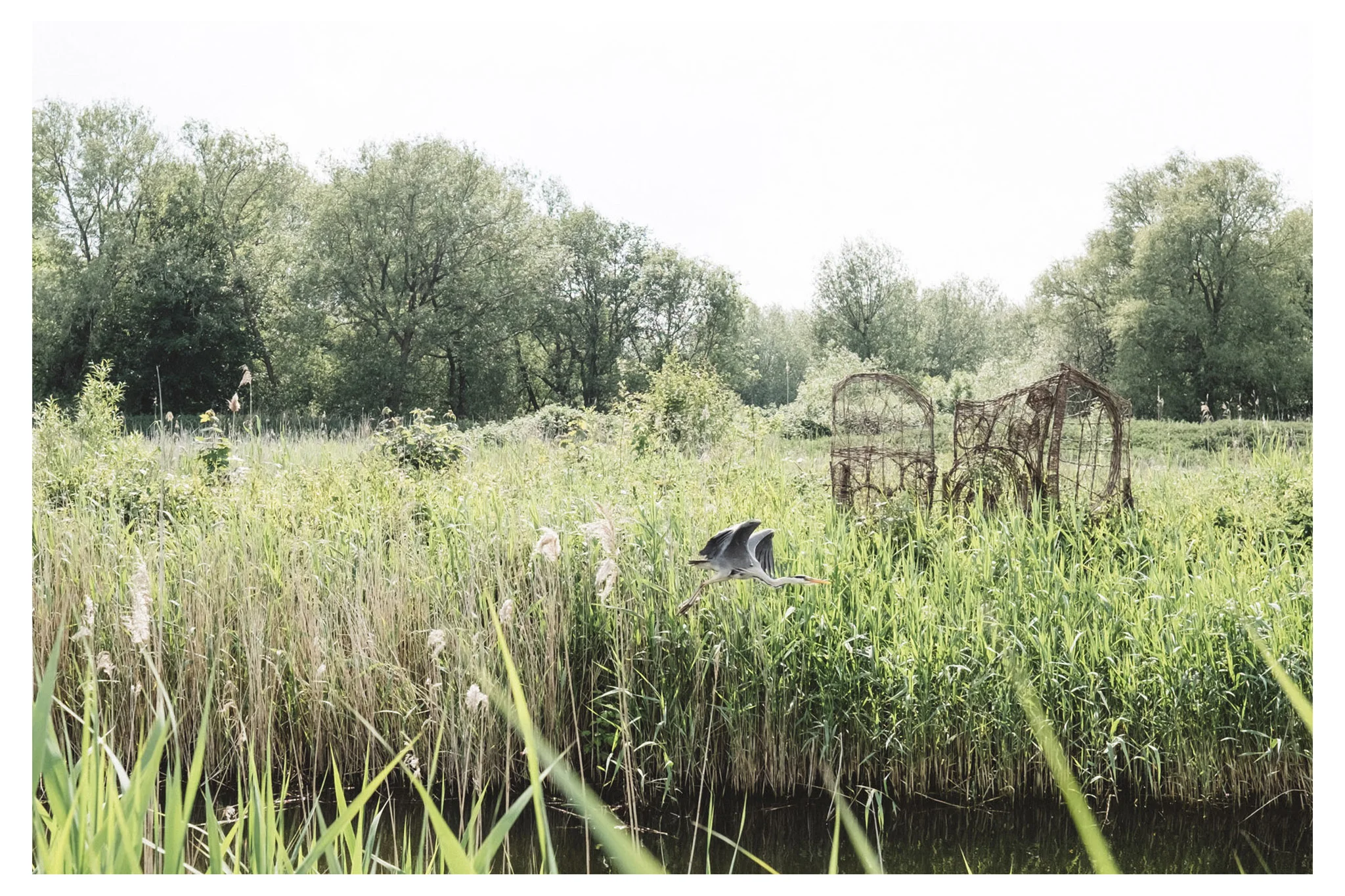 The Railway Land in Lewes is a Sussex wonder! With so much to see and a peaceful place to sit it should definitely be on your radar.