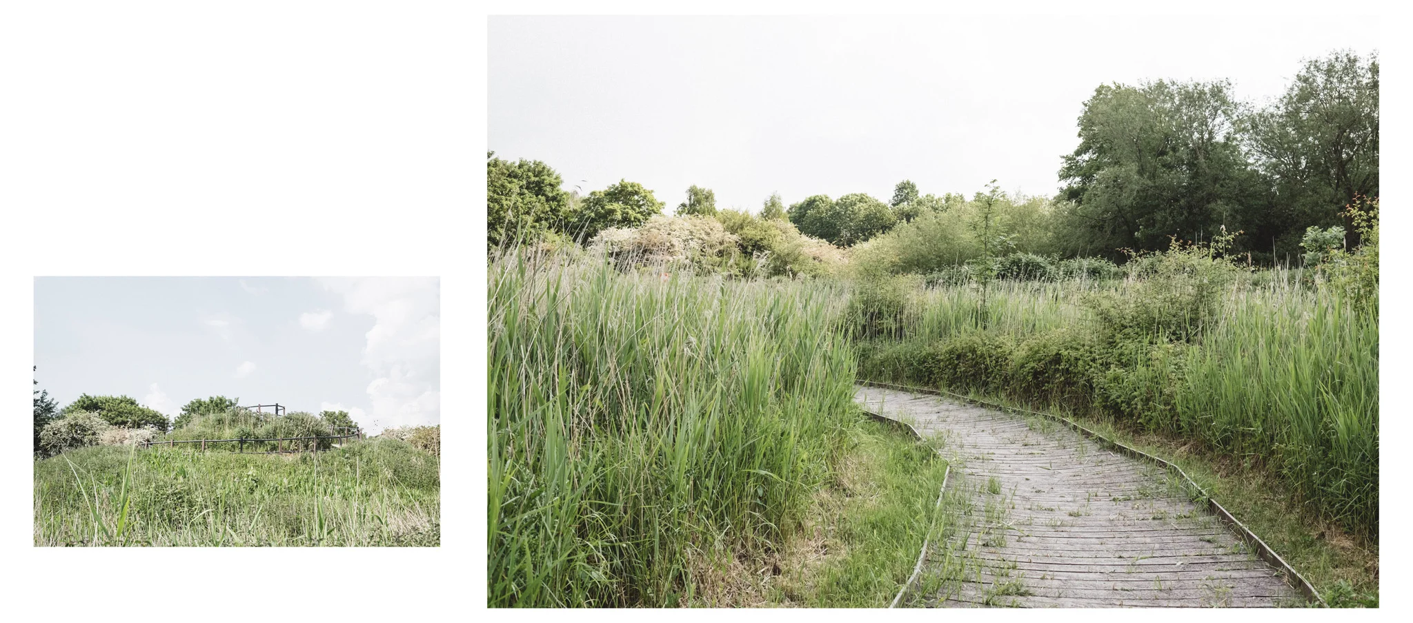 The Railway Land in Lewes is a Sussex wonder! With so much to see and a peaceful place to sit it should definitely be on your radar.