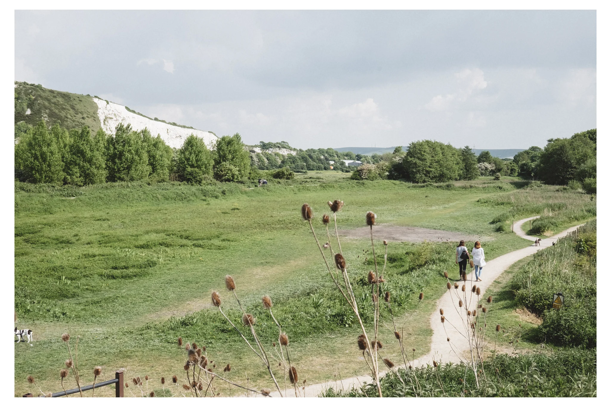 The Railway Land in Lewes is a Sussex wonder! With so much to see and a peaceful place to sit it should definitely be on your radar.