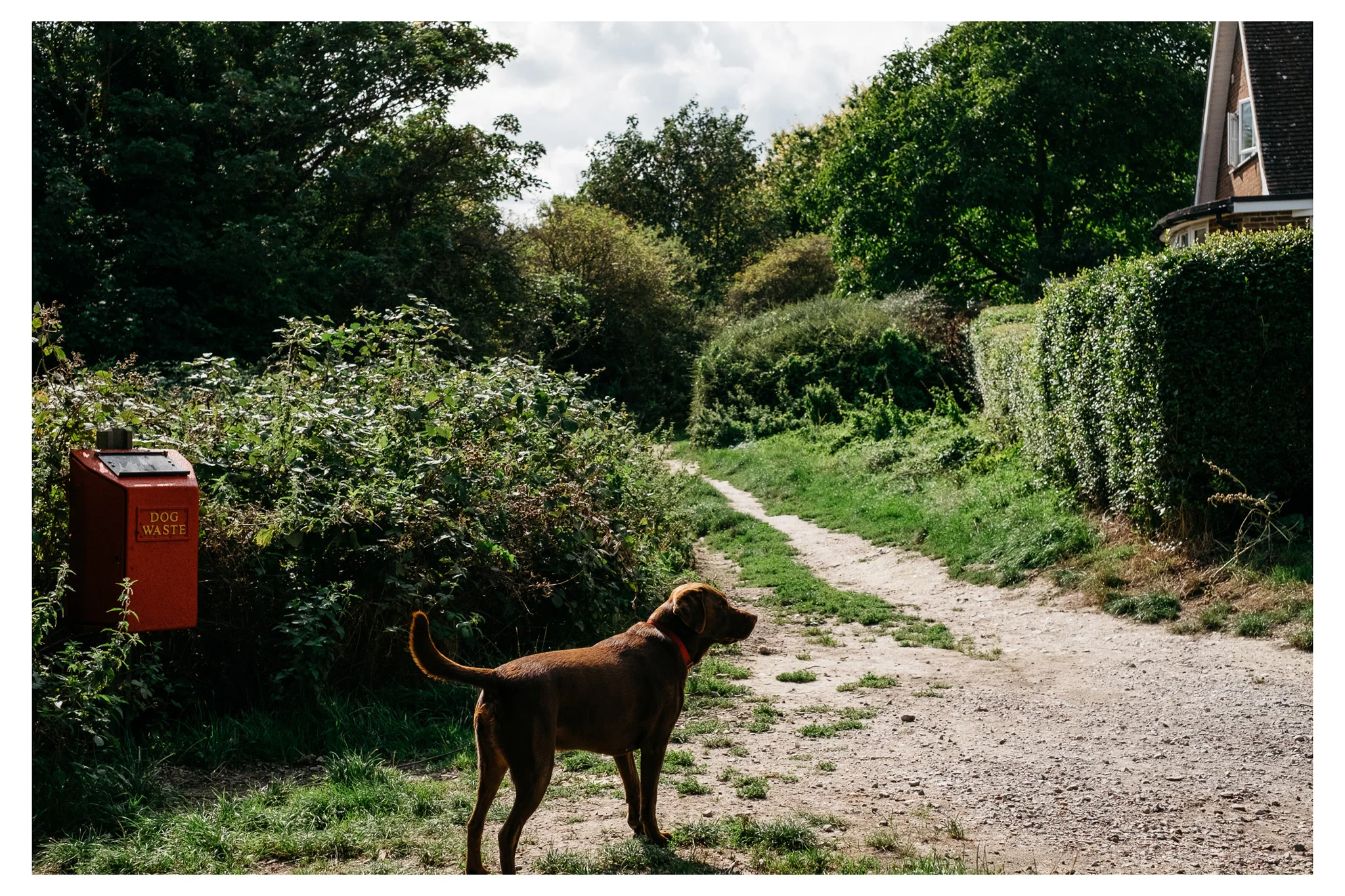 003_lewes_blackcap_beacon_web-9408.jpg