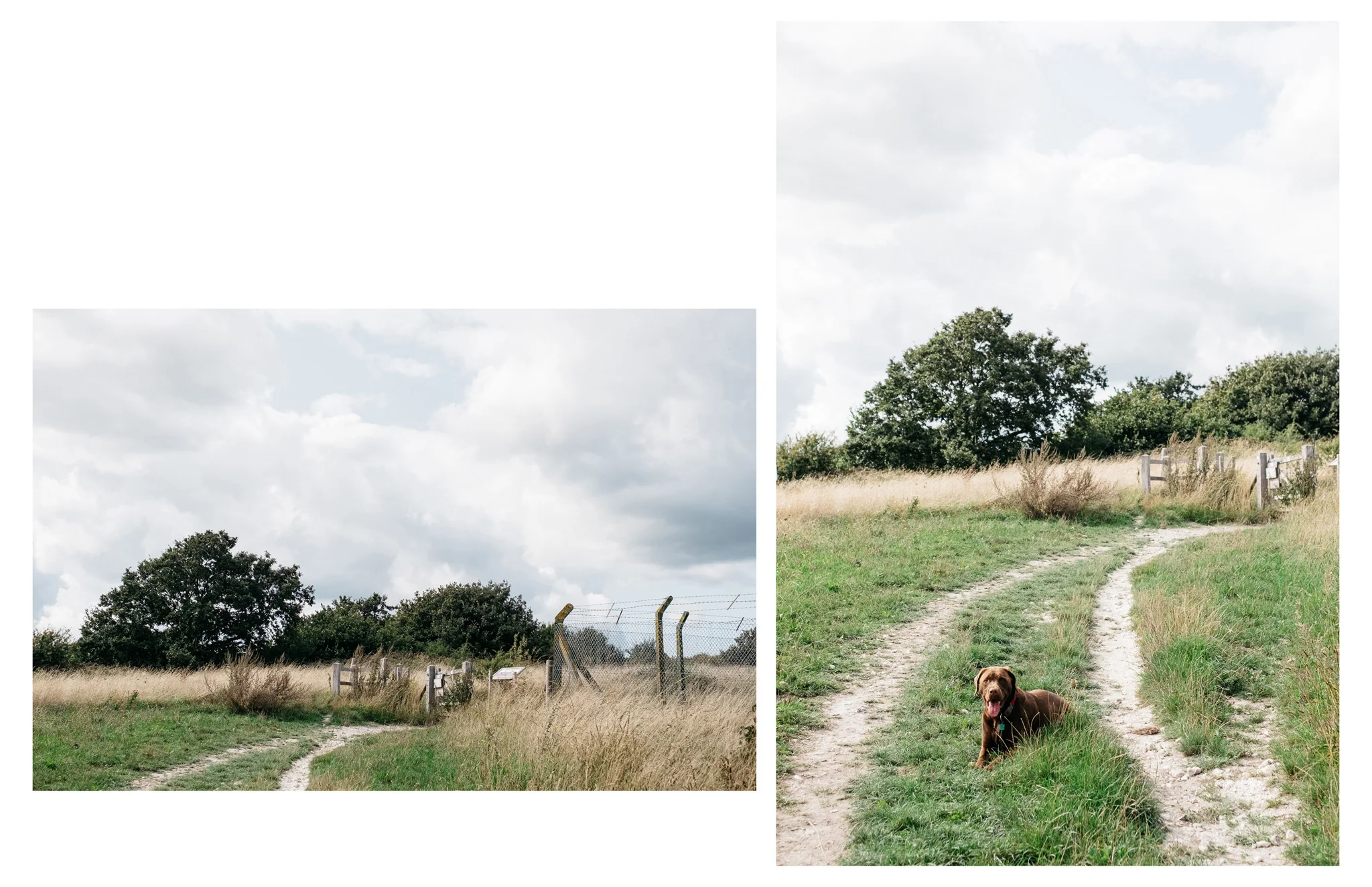 005_lewes_blackcap_beacon_web-9412.jpg
