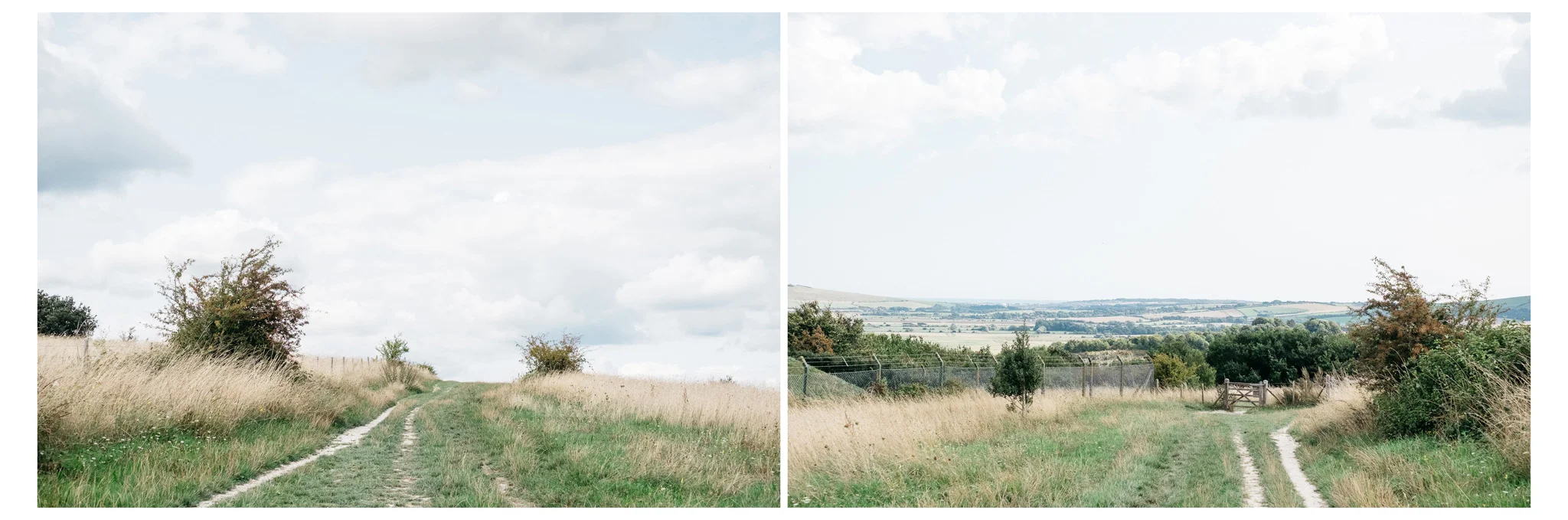 007_lewes_blackcap_beacon_web-9416.jpg