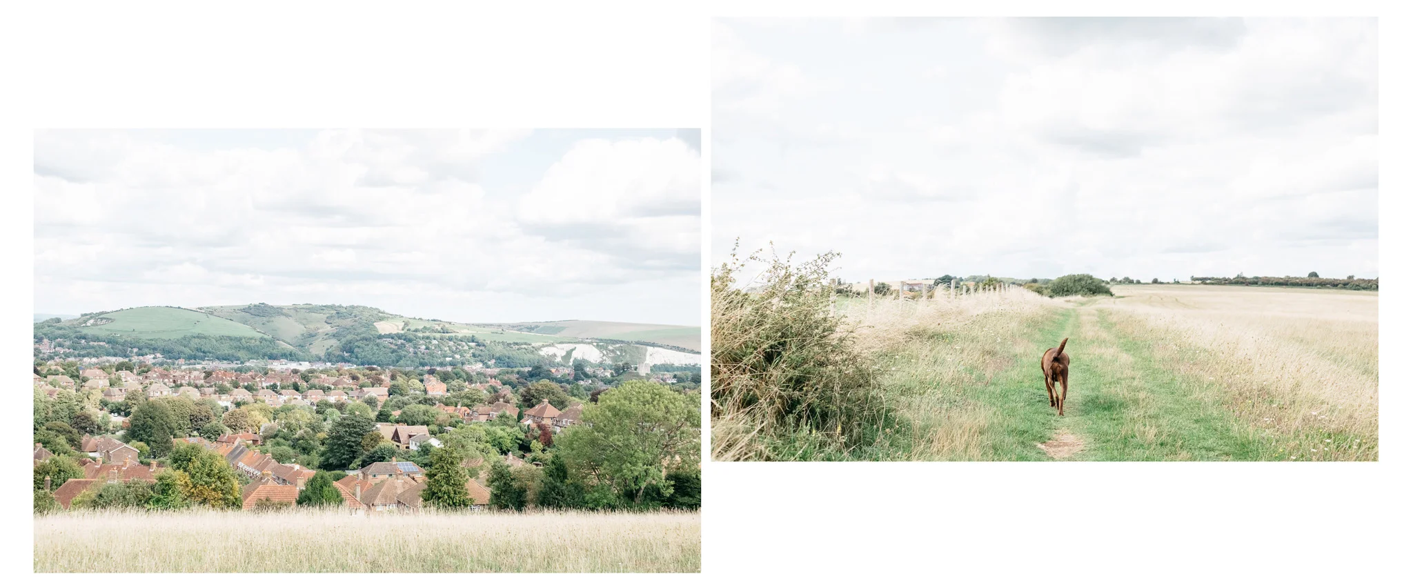 009_lewes_blackcap_beacon_web-9429.jpg