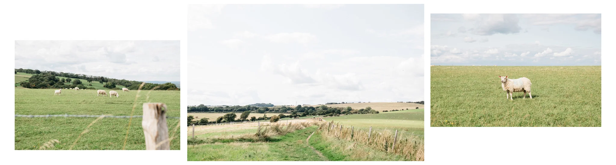 014_lewes_blackcap_beacon_web-9456.jpg