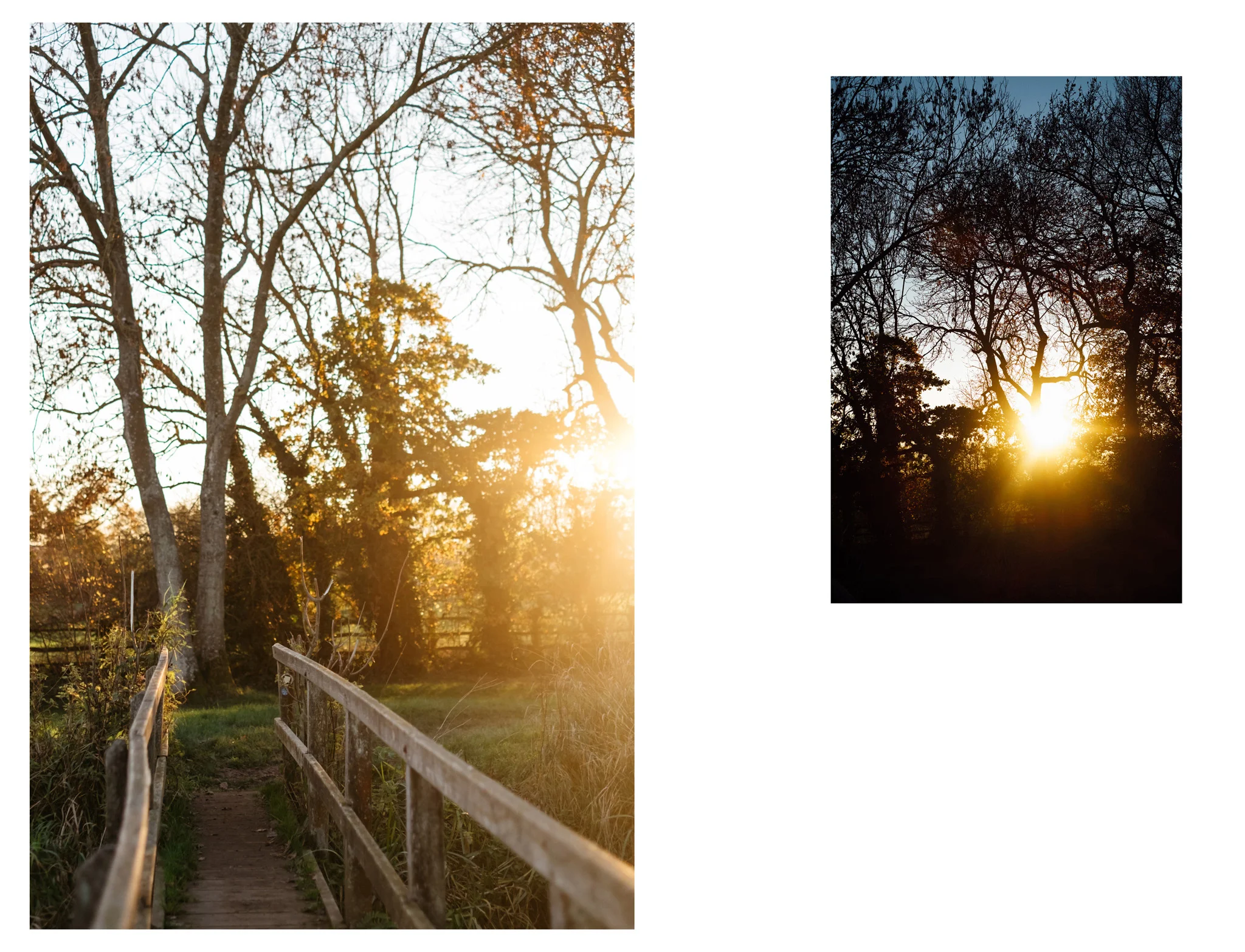 Barcombe Mills is a beautiful, tranquil spot between Lewes and Uckfield. It’s a fairly easy terrain and suitable for most walking abilities.