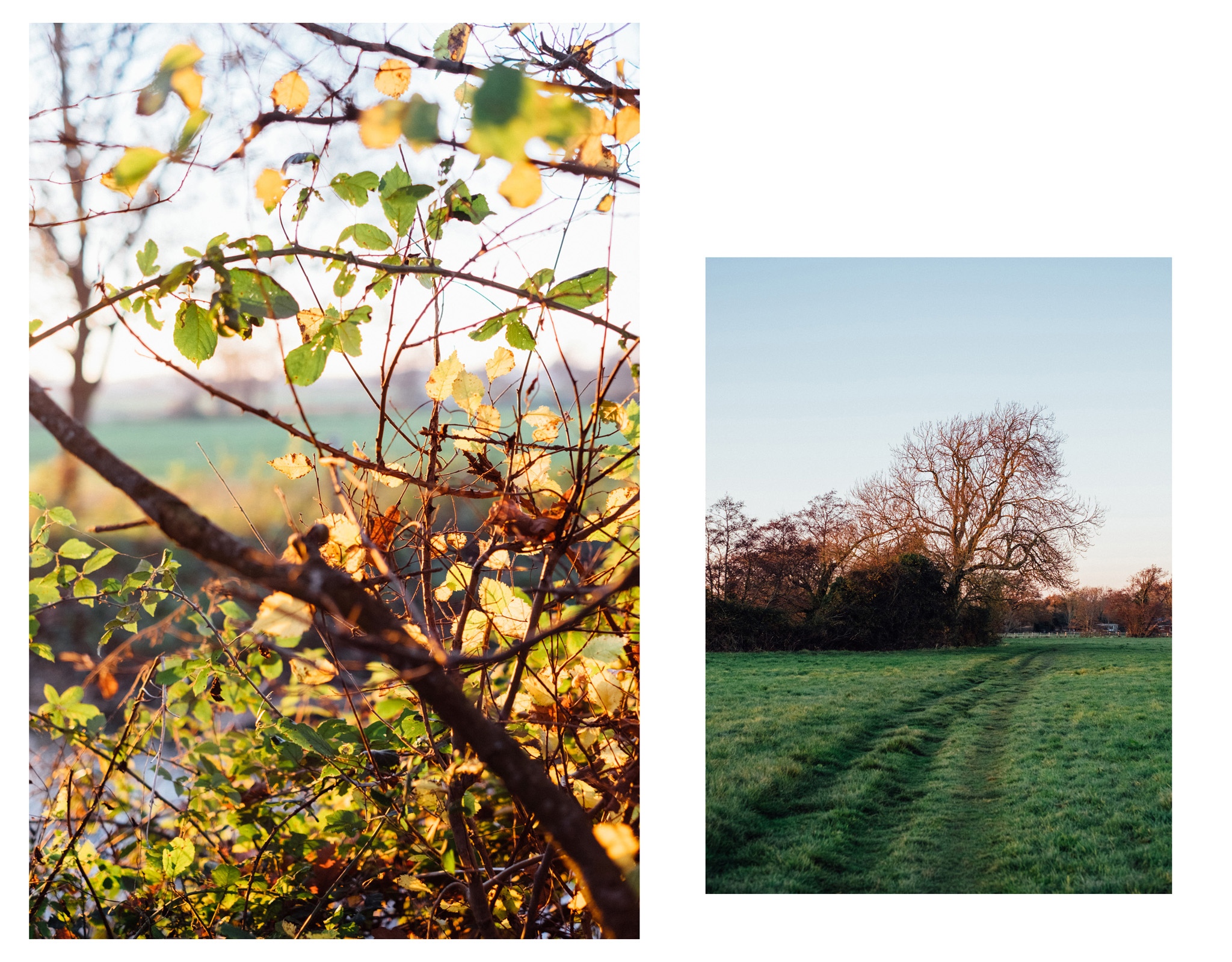 Barcombe Mills is a beautiful, tranquil spot between Lewes and Uckfield. It’s a fairly easy terrain and suitable for most walking abilities.