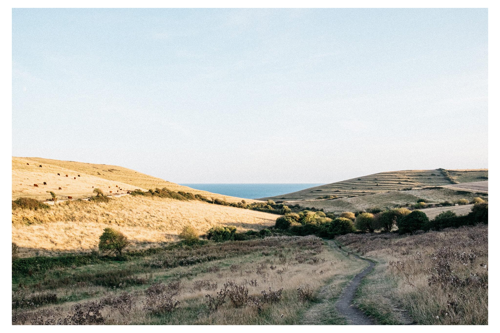 Dorset_Sept19_web-1169.jpg
