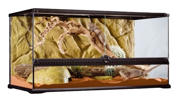 tank for african land snail