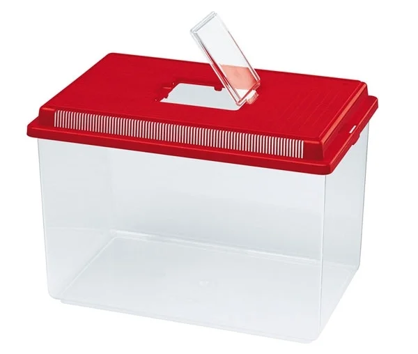 A small, plastic fish tank, suitable for small or baby snails.