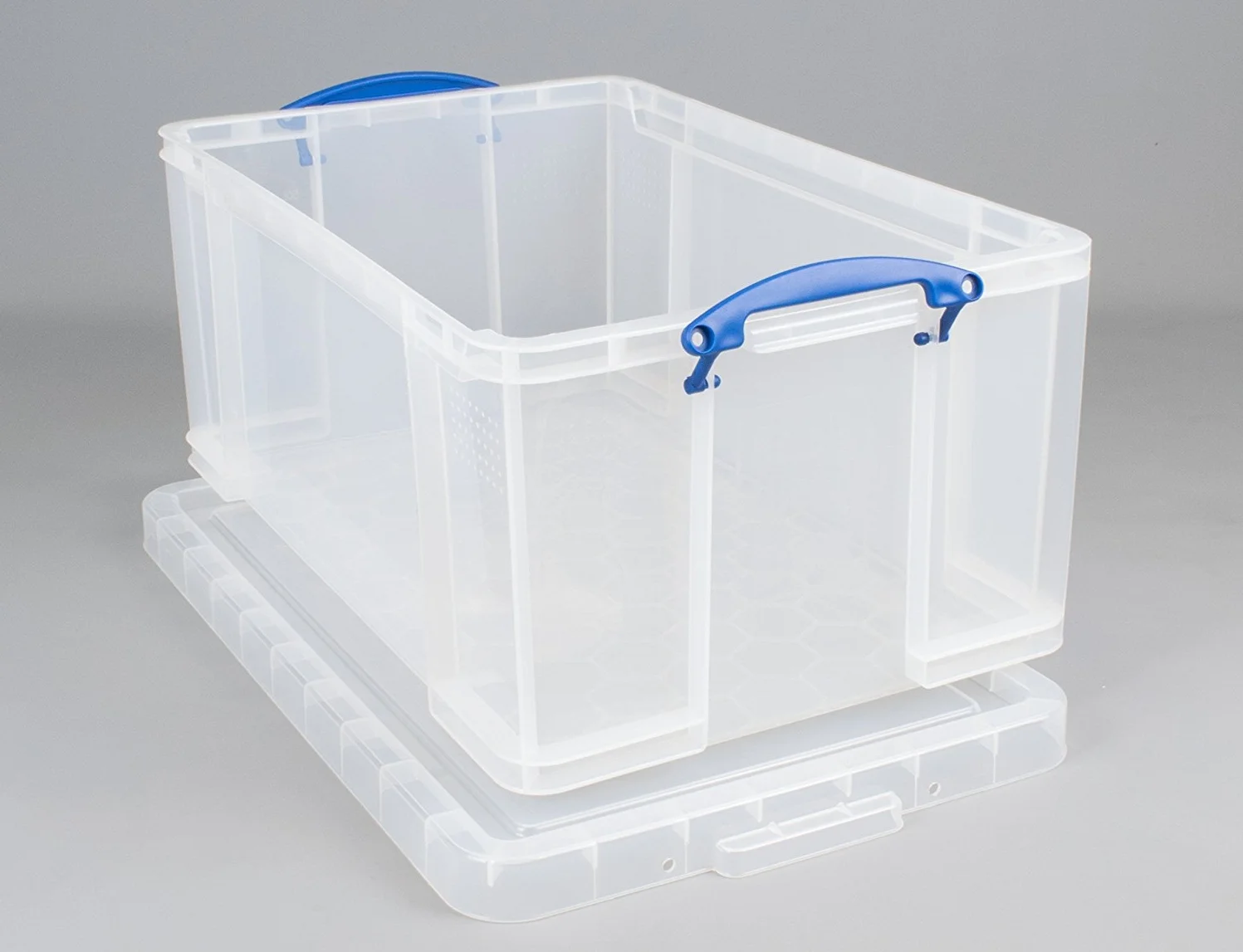 A plastic storage box, suitable for keeping most sizes of snail.