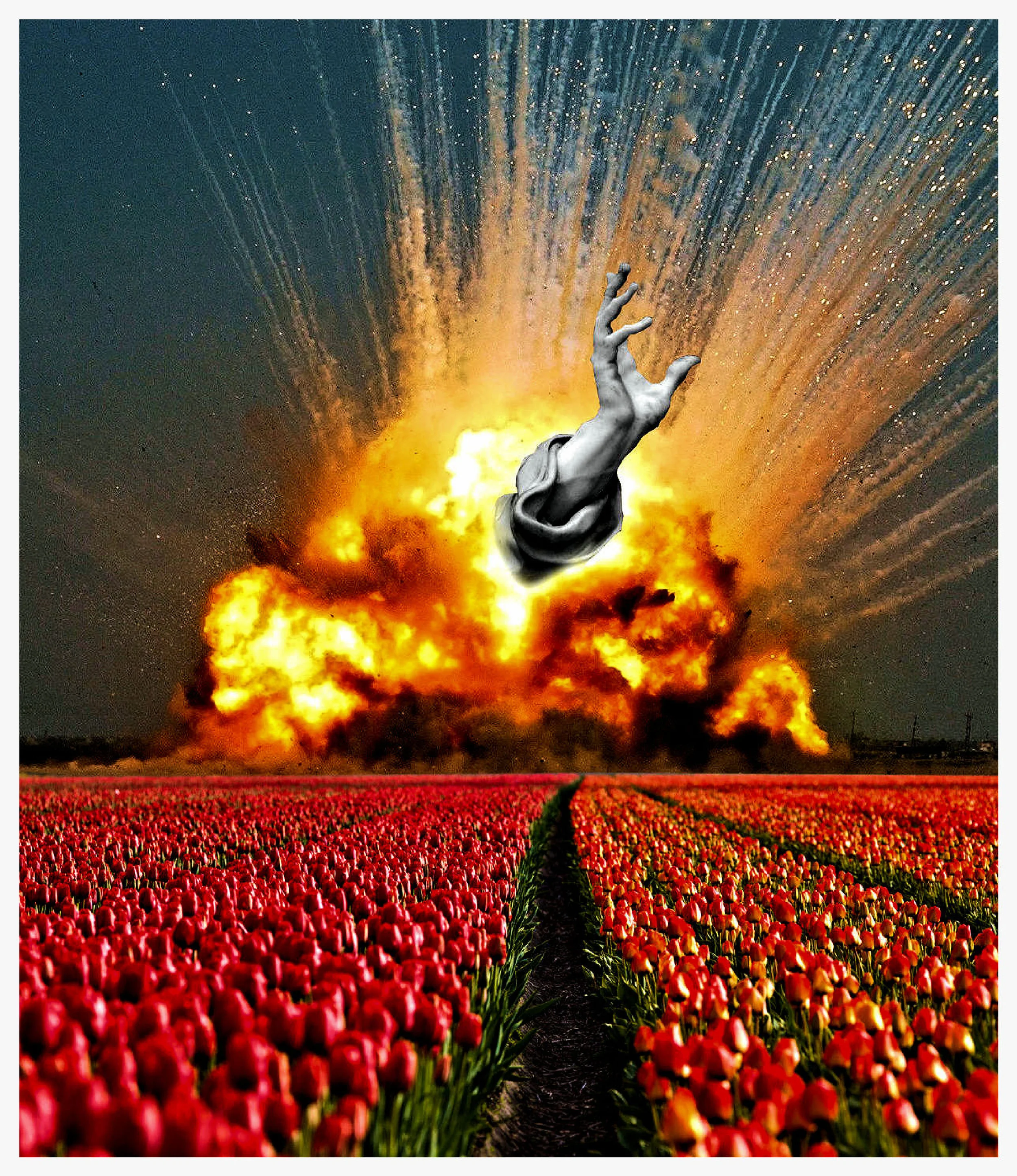 Tulip Apocalypse