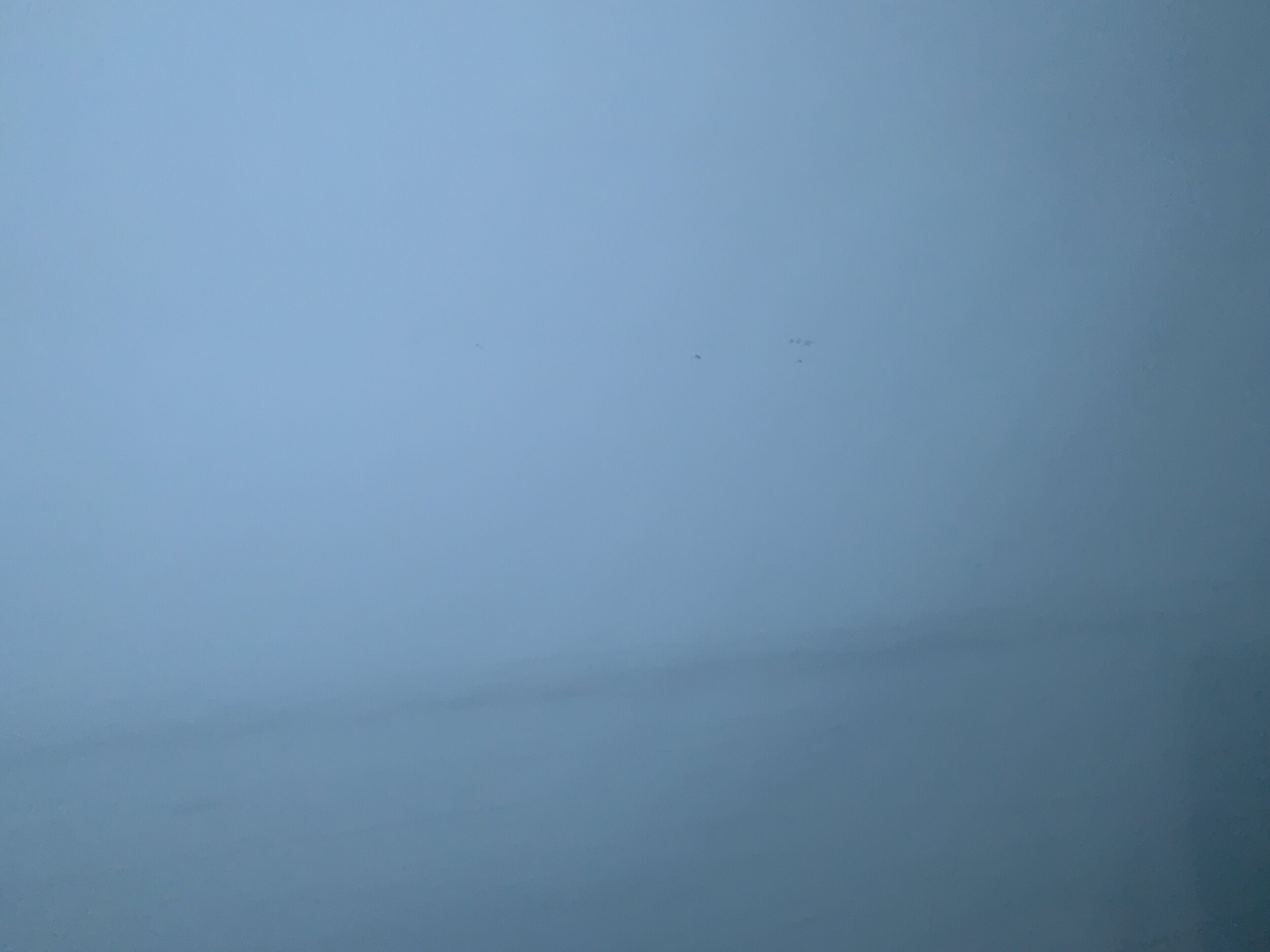 F534DF5F-488F-4F7B-A811-DAC040EE82F0.jpeg
