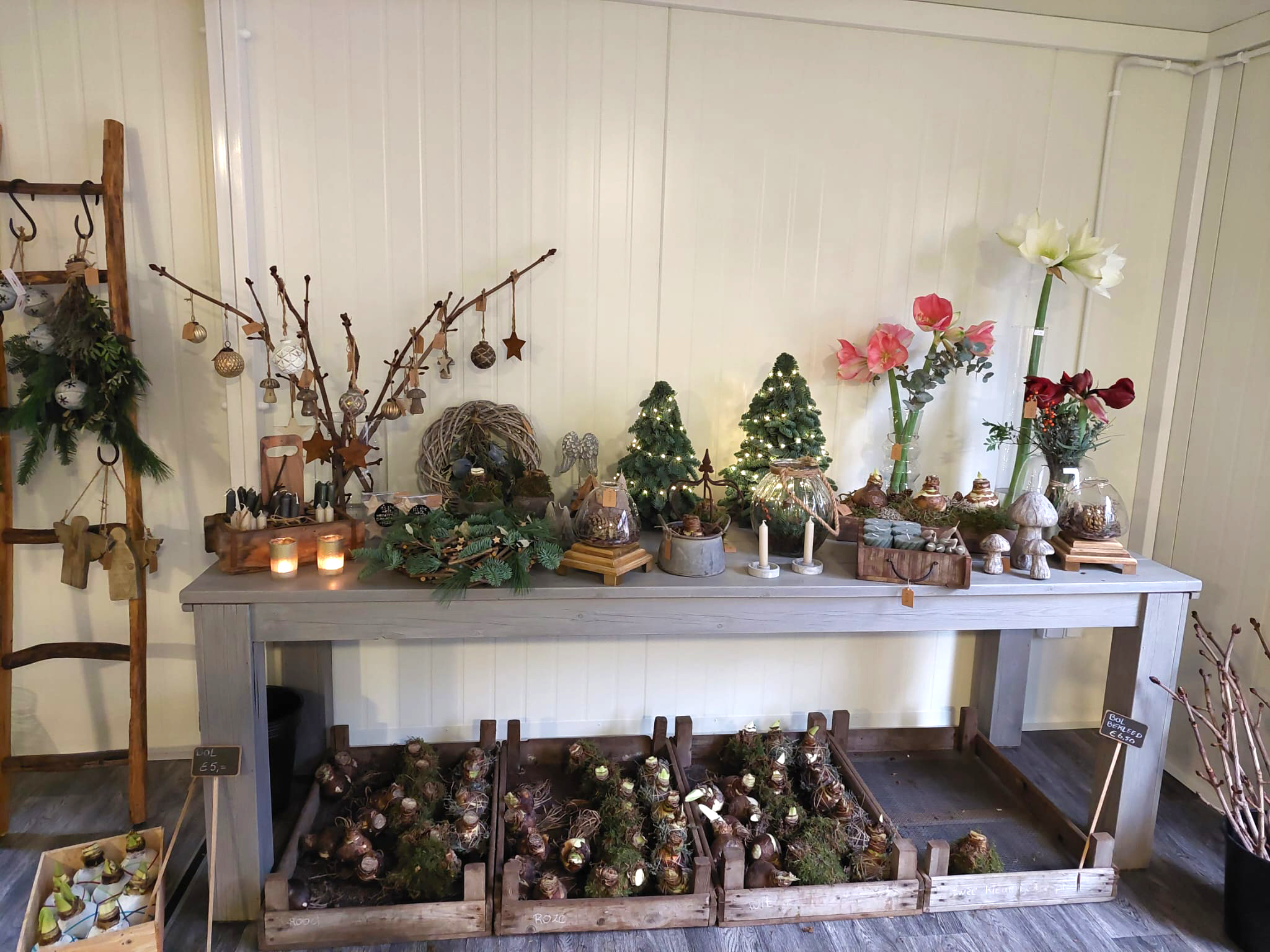 Bestel een kerstgeschenk uit onze winkel