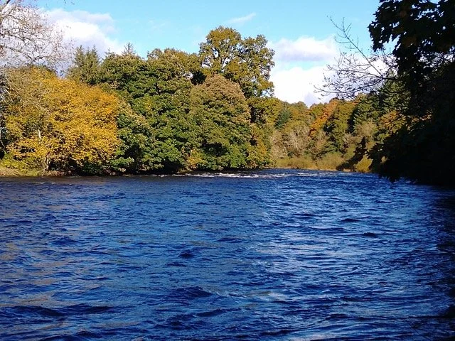 ENGLAND’S RIVERS UNDER THE MICROSCOPE
