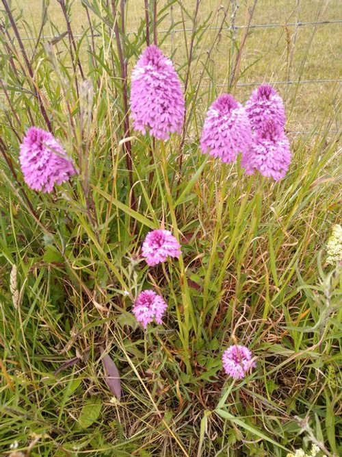 ENVIRONMENTAL TARGETS: MISSING, INACTION