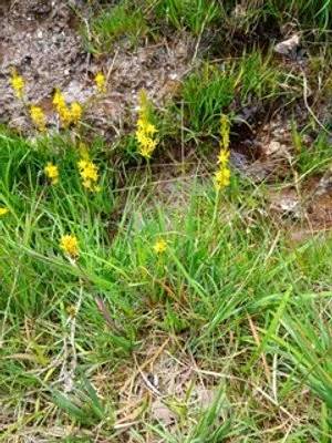 EVIDENCE TO WELSH SENEDD CLIMATE CHANGE, ENVIRONMENT & INFRASTRUCTURE COMMITTEE