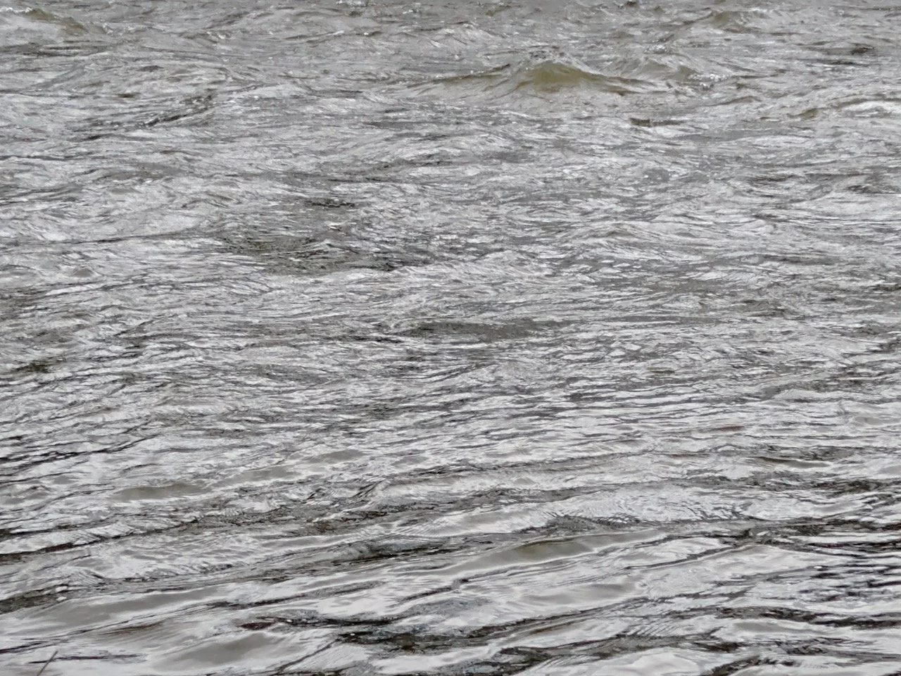 YORKSHIRE FISHERMEN WIN WATER QUALITY LEGAL CHALLENGE