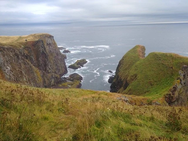 OFFSHORE PETROLEUM LICENSING BILL – PRINCIPLES, OR POLITICS?