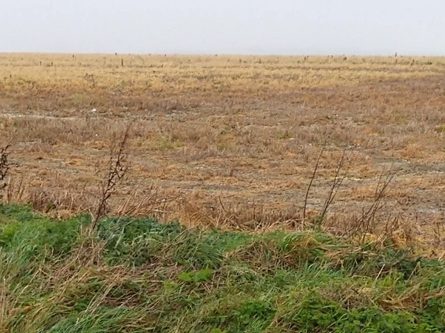 EU PLAN TO HALVE PESTICIDE USE WITHDRAWN IN FACE OF FARMERS OPPOSITION