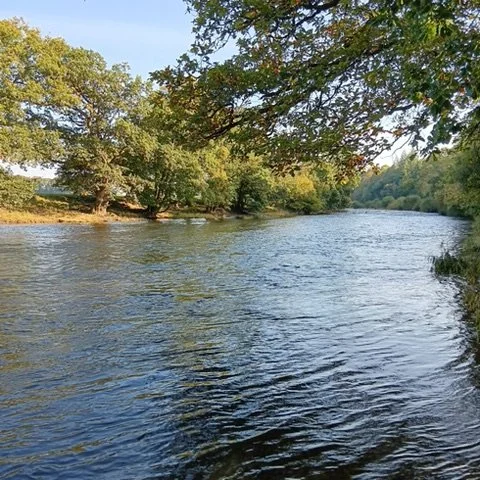 Deputy Interim Environmental Protection Assessor for Wales