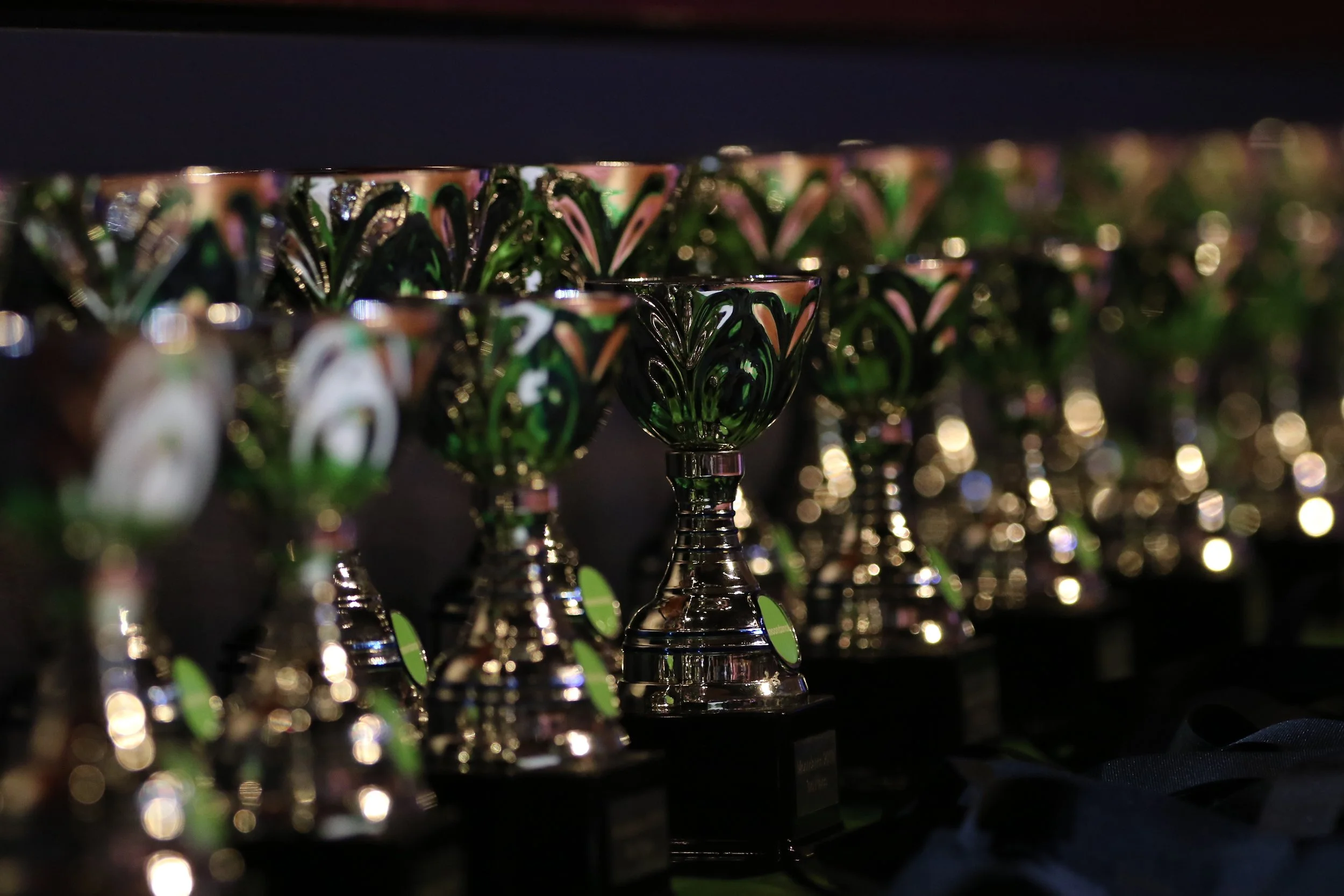 Trophies@ Moondance.JPG
