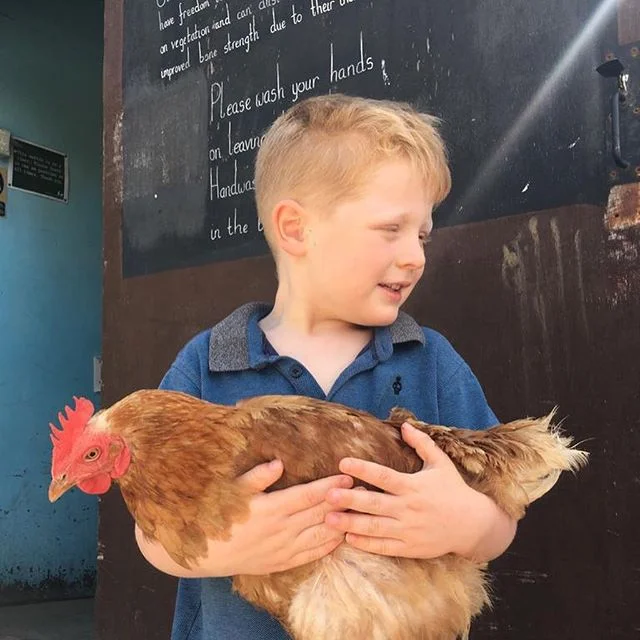 Our own little farmers 😀 Our pre school had a wonderful time exploring the farm!!! Thank you @whirlowhallfarm #farmers #animals #learningthroughplay #sheffield #sheffieldissuper #playingoutside #teacher #teachersofinstagram