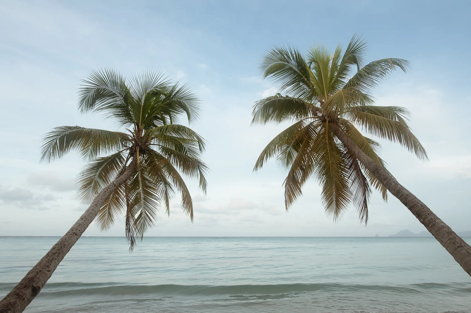 NatalieSternberg_Martinique_014.jpg