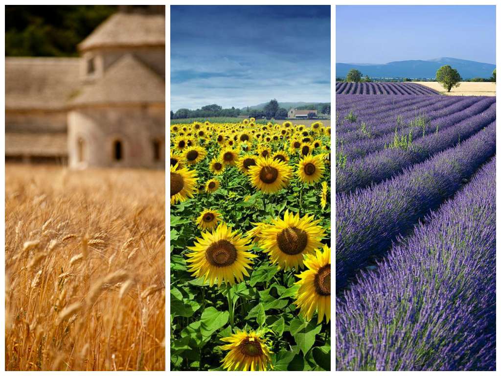 from left to right: image via A lovely Life , image via Flickr , image via Fine Art America