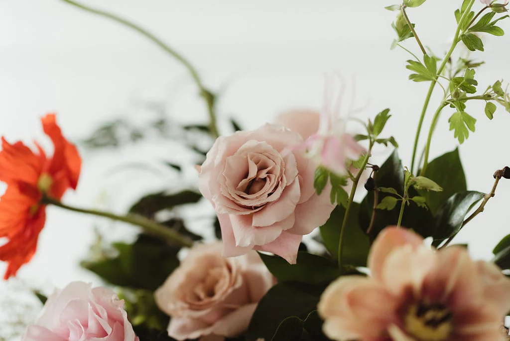blushcreative171-1024x684.jpg