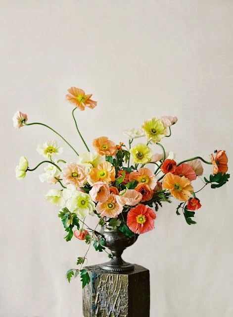 image via Sarah Winward