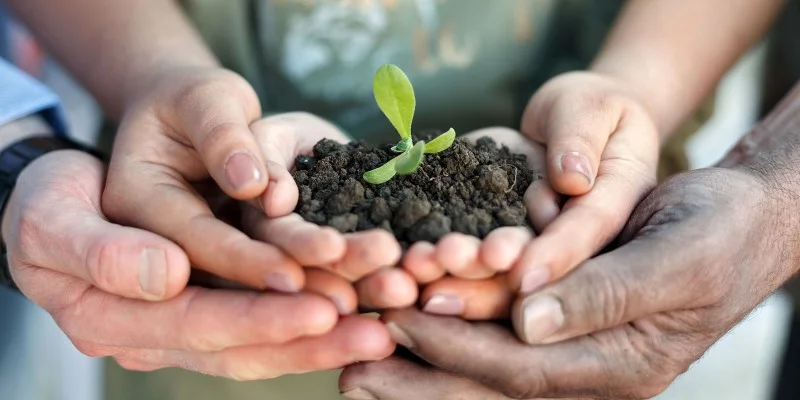 plant a seed.jpg