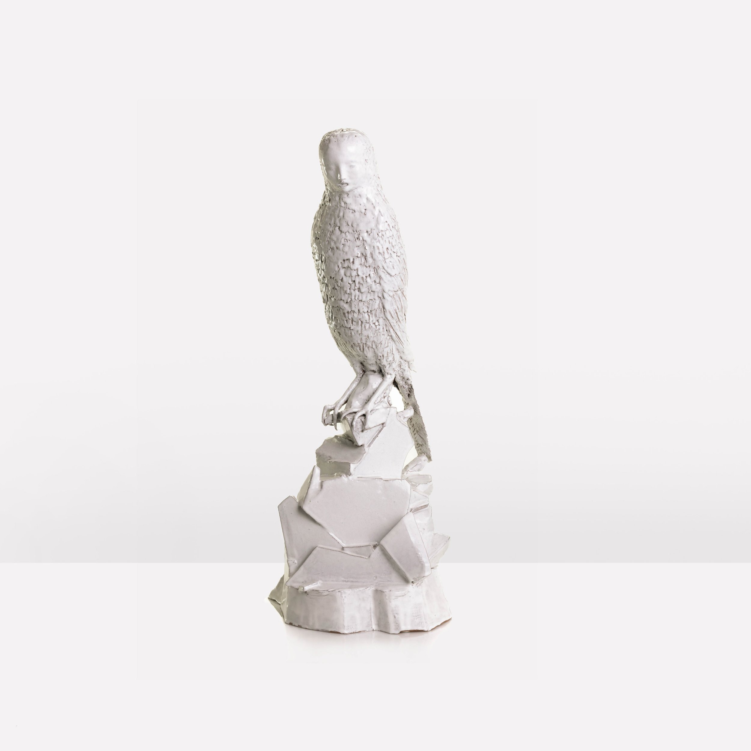 animal23.jpg