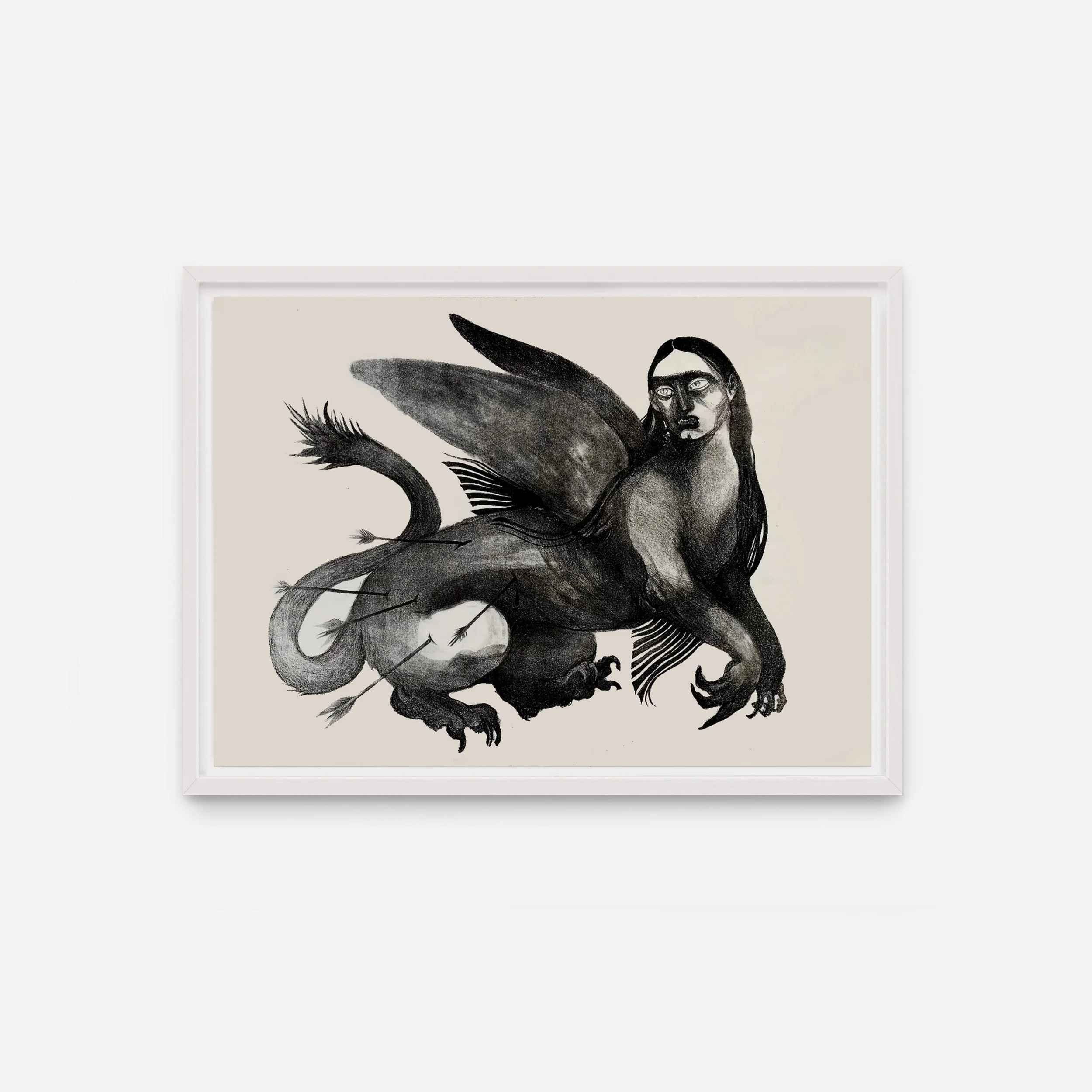 animal1.jpg