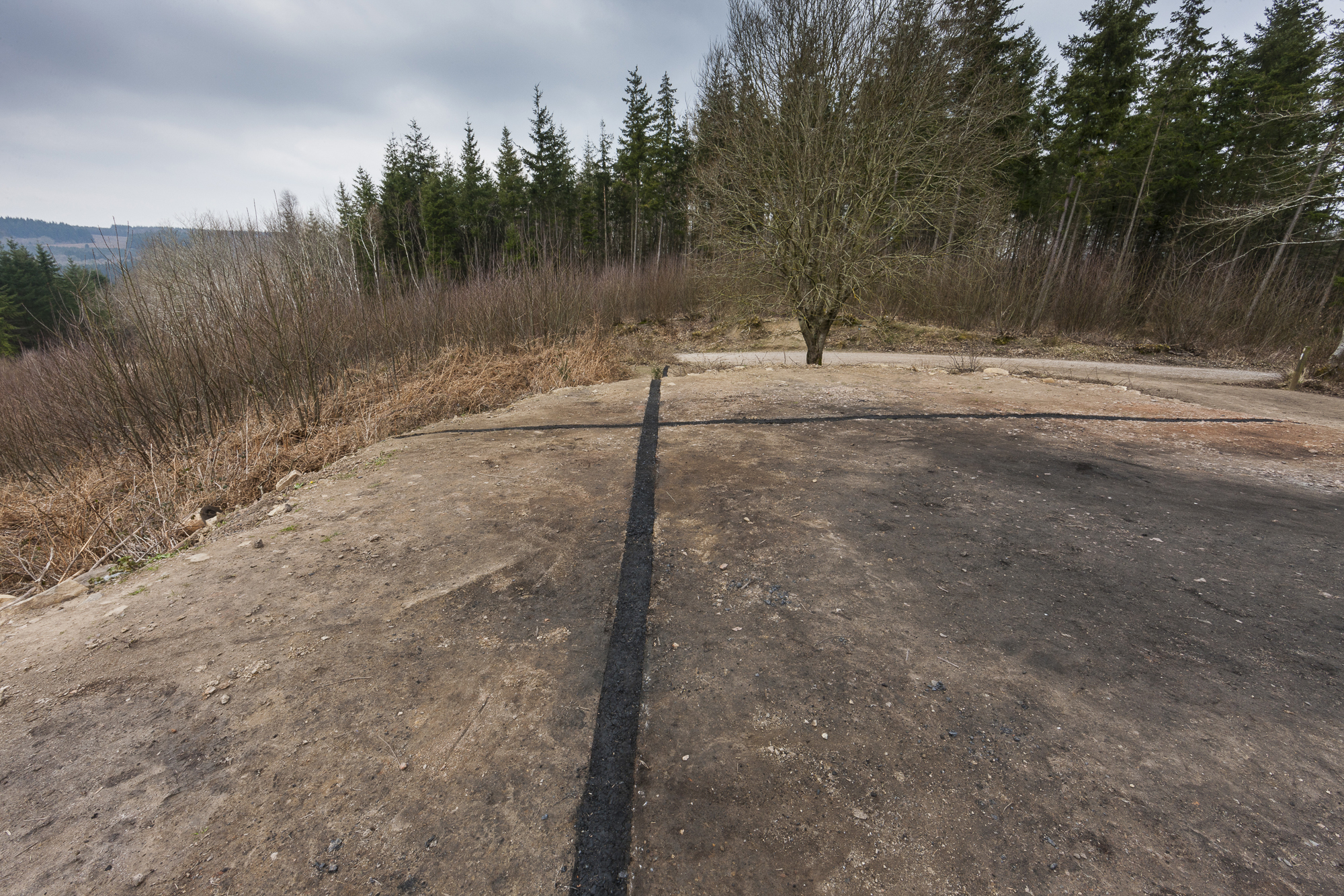 1.30pm Tuesday 15th March 2016. Beechenhurst, Forest of Dean, Gloucestershire. Artist Onya McCausland with her new instalation piece "Charcoal Measure". The work represents an underground seam and the tracks of Forest of Dean mines using charcoal created from the kiln of the sculpture "Place", or Chair as it was known, that previosly stood on this site.