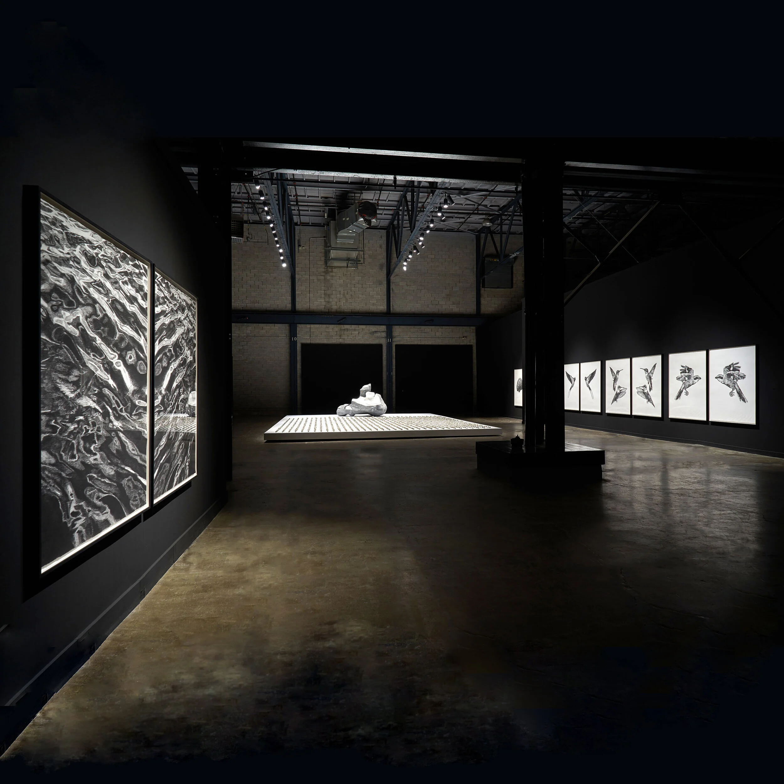 Mat Chivers Public Exhibition ‘Migrations’ at Arsenal Contemporary Art Montreal