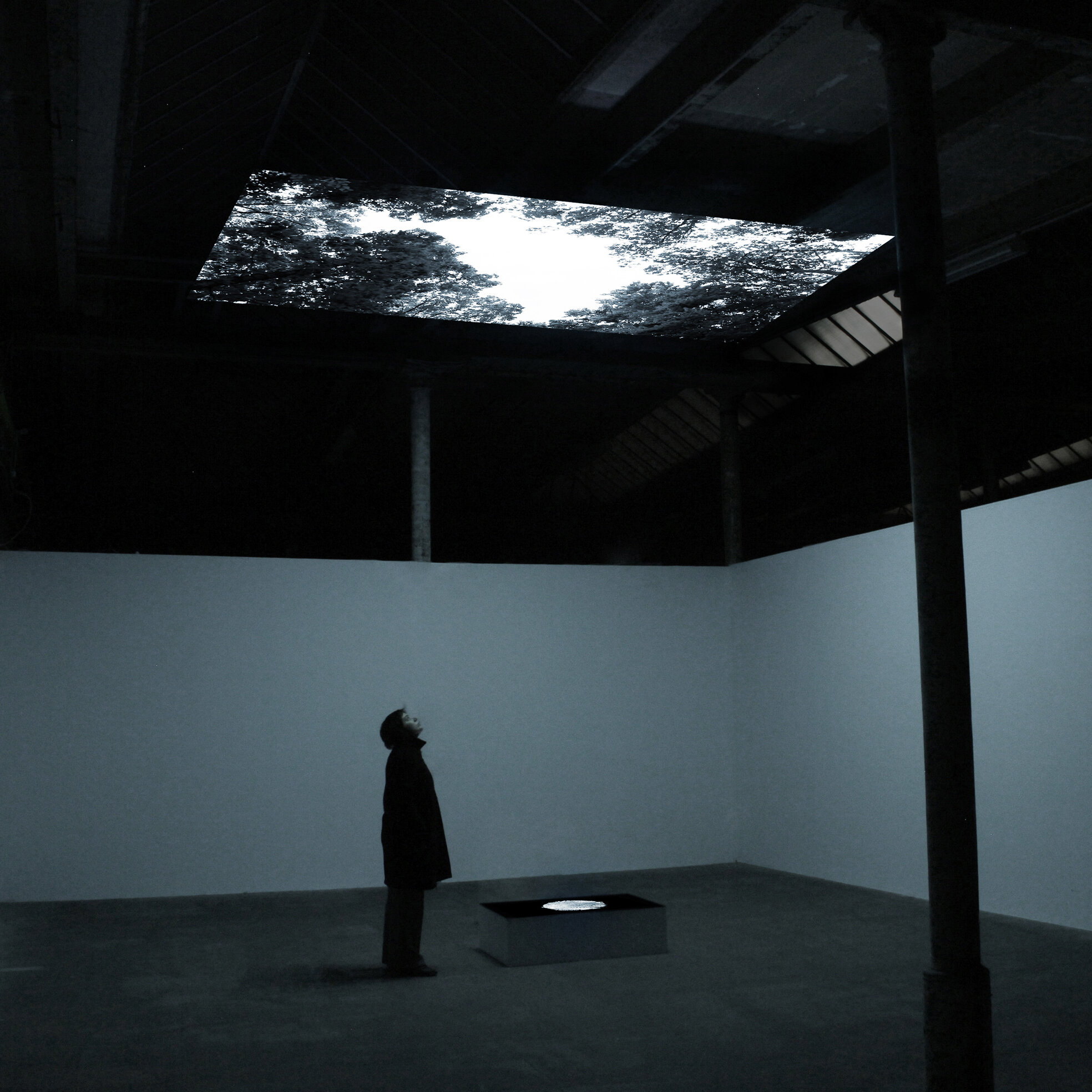 Vanished Tree (Teufelsberg)