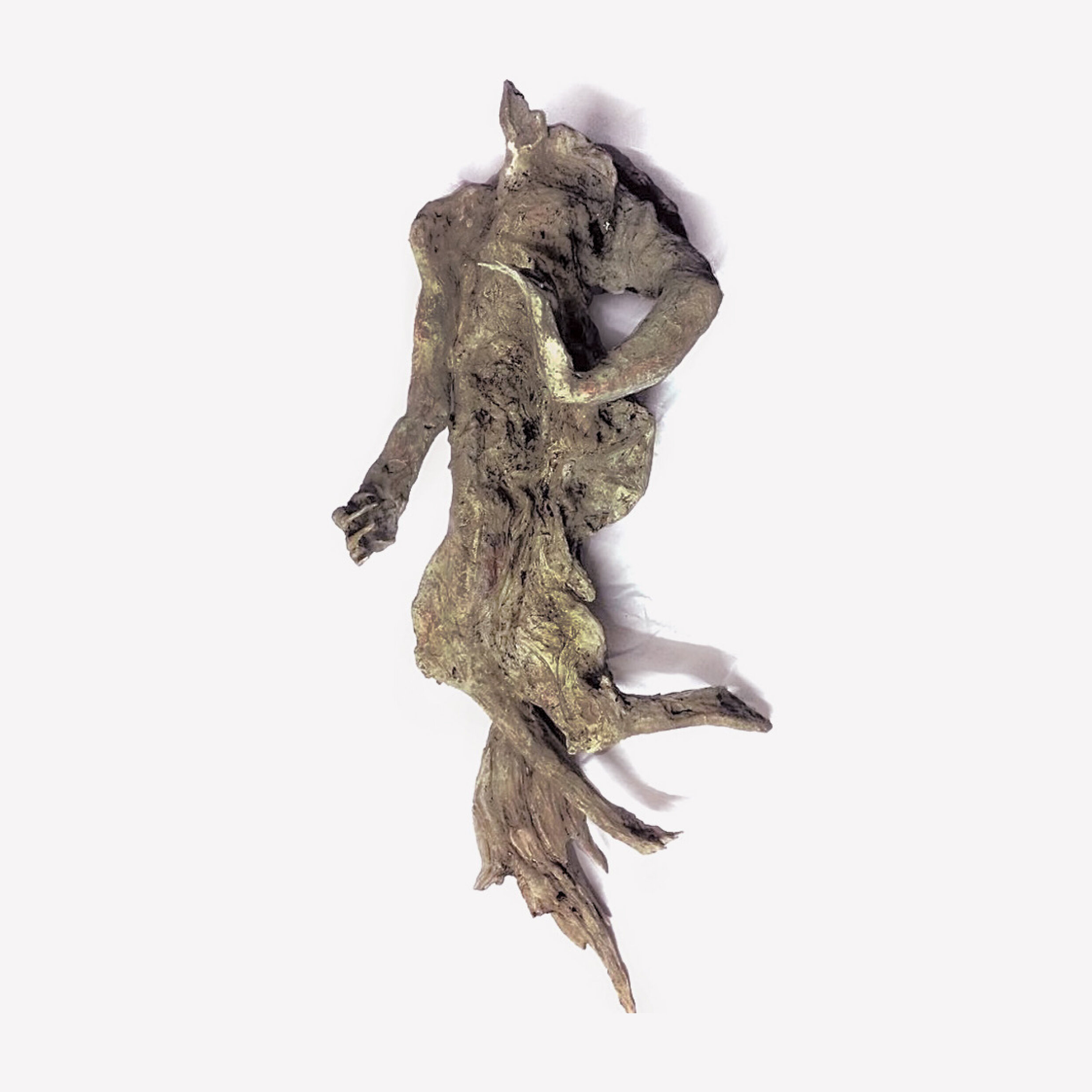 Jim Carter 'Magus from blackthorn'