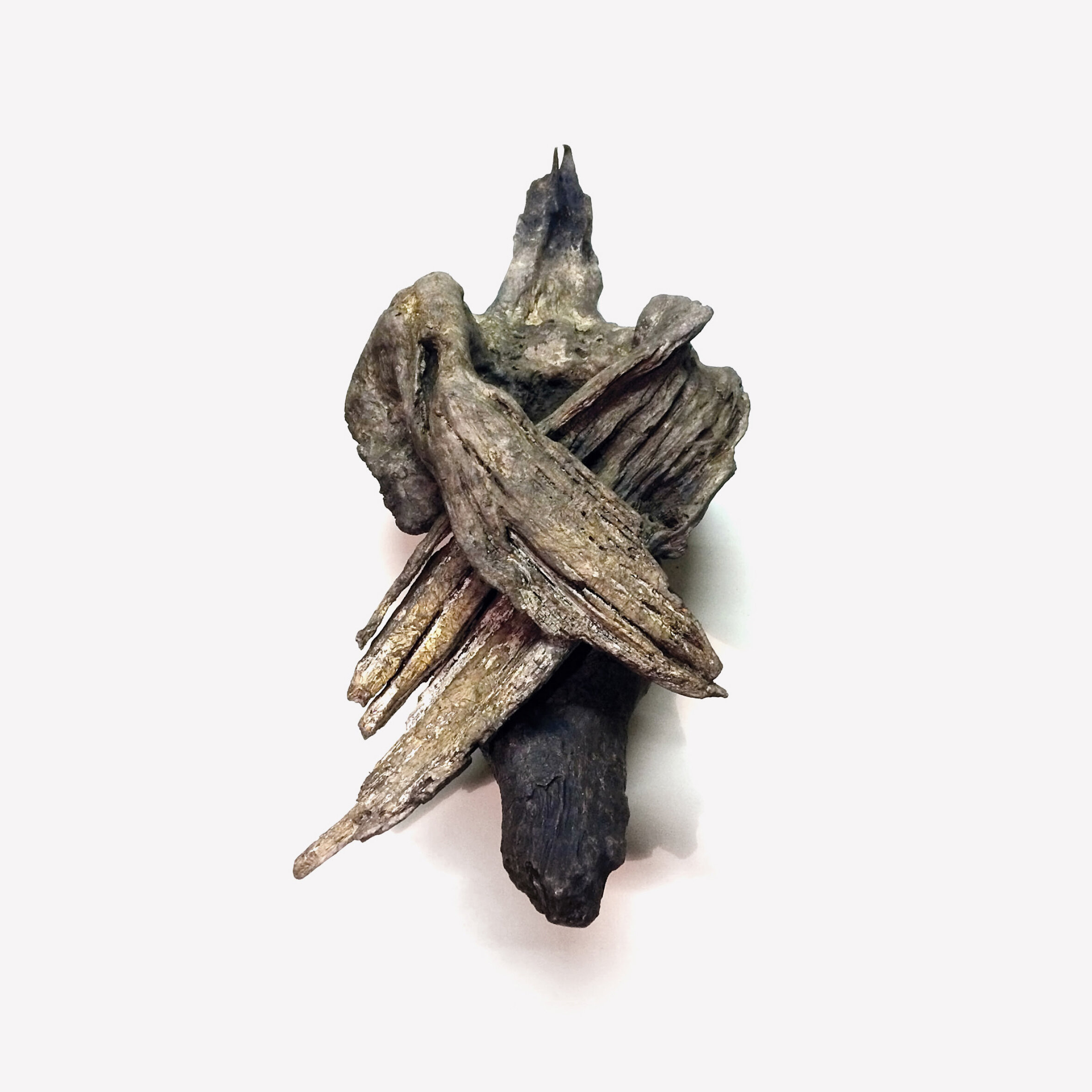 Jim Carter 'For the old fires still burn and the night is blooming'