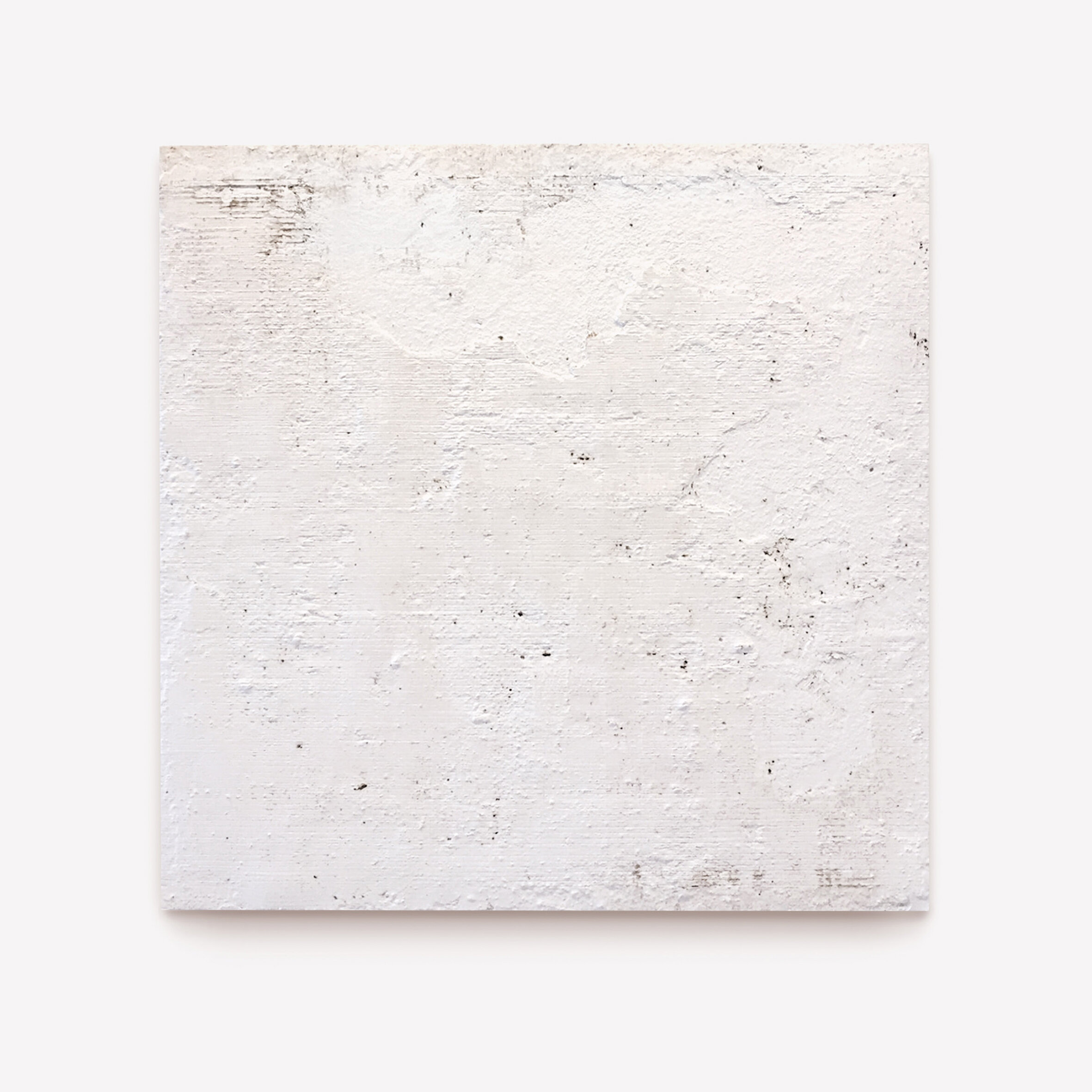 Richard Nott 'Morena 1'