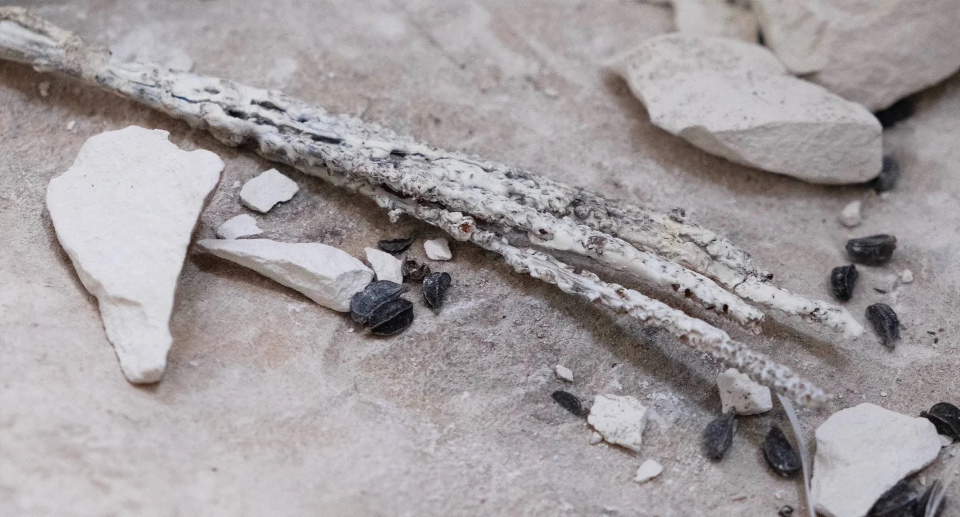  JAMIE MILLS  ‘A FIREWORK FOR VINCENT’  6/2 - 22/3/26 