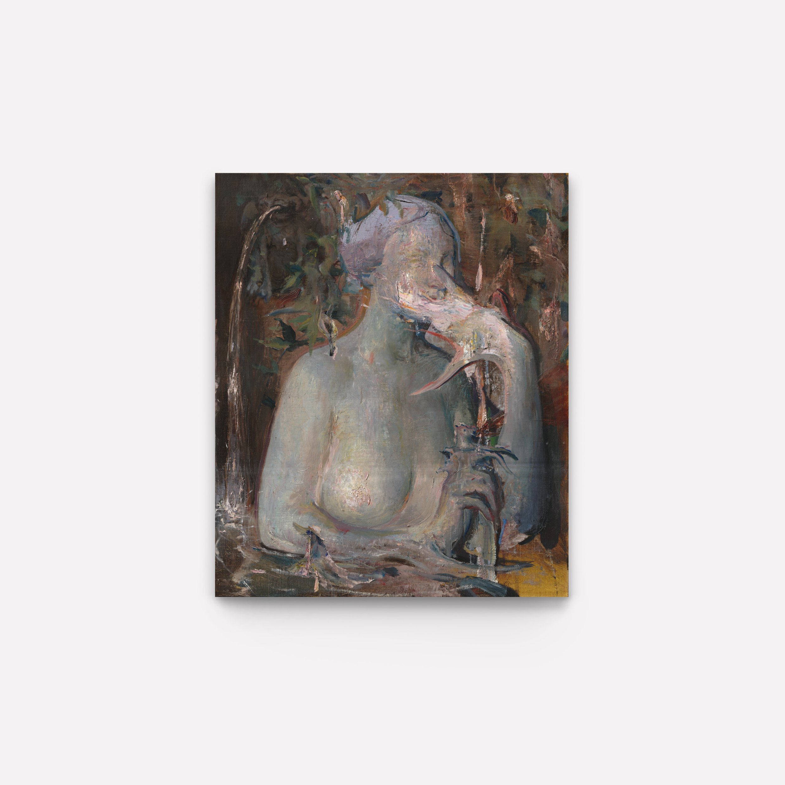 animal17.jpg