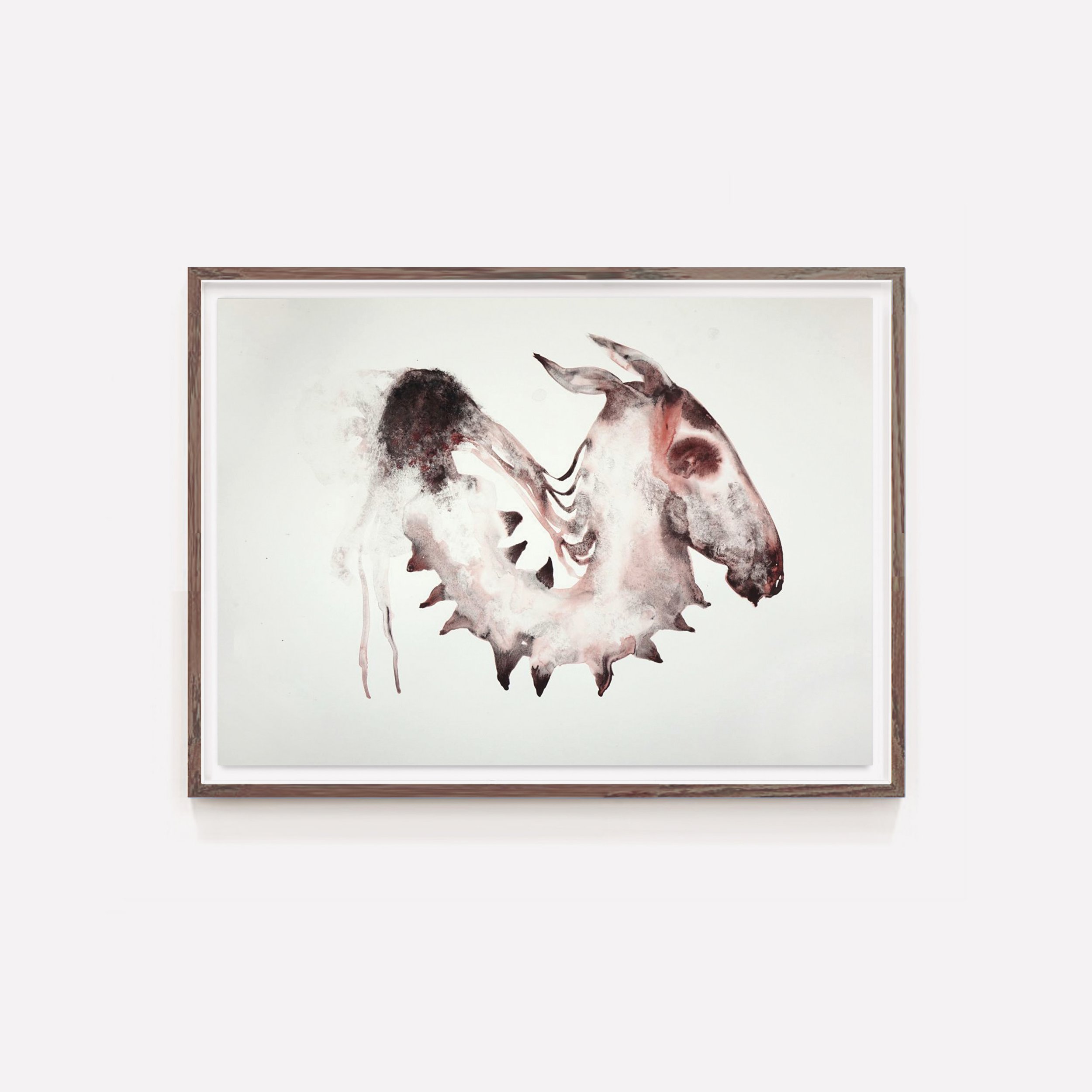 animal32.jpg