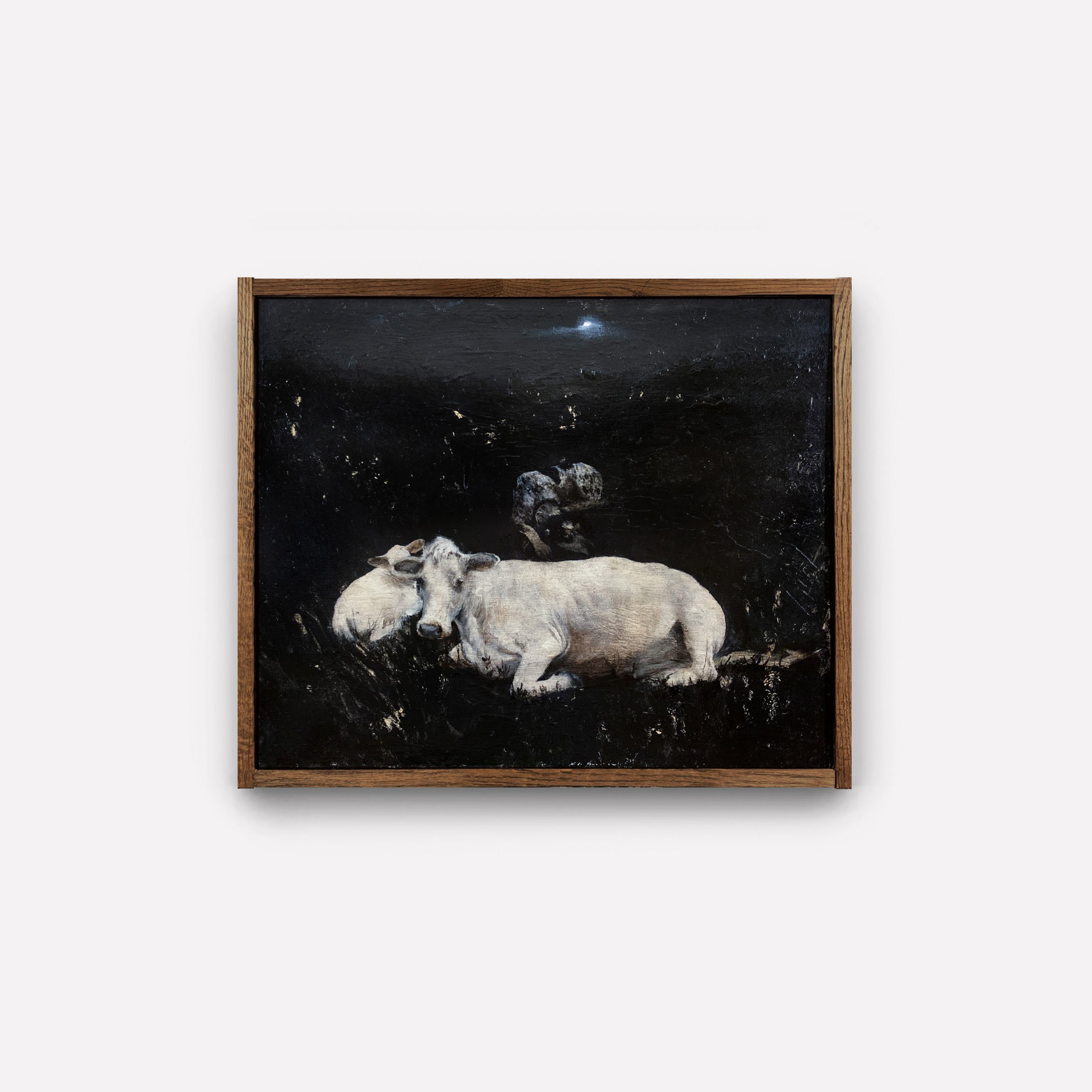 animal10.jpg